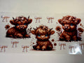 brown cows