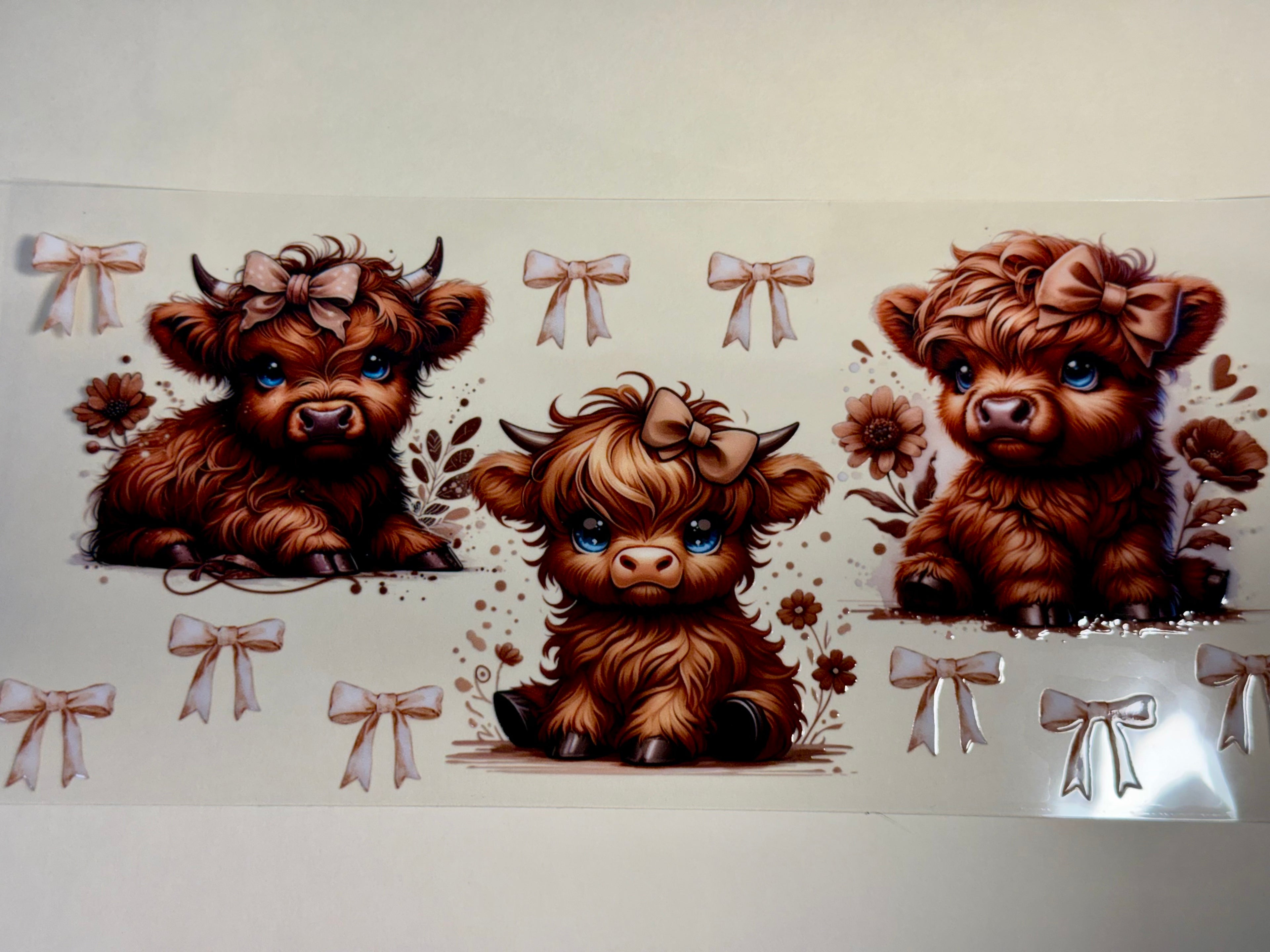brown cows