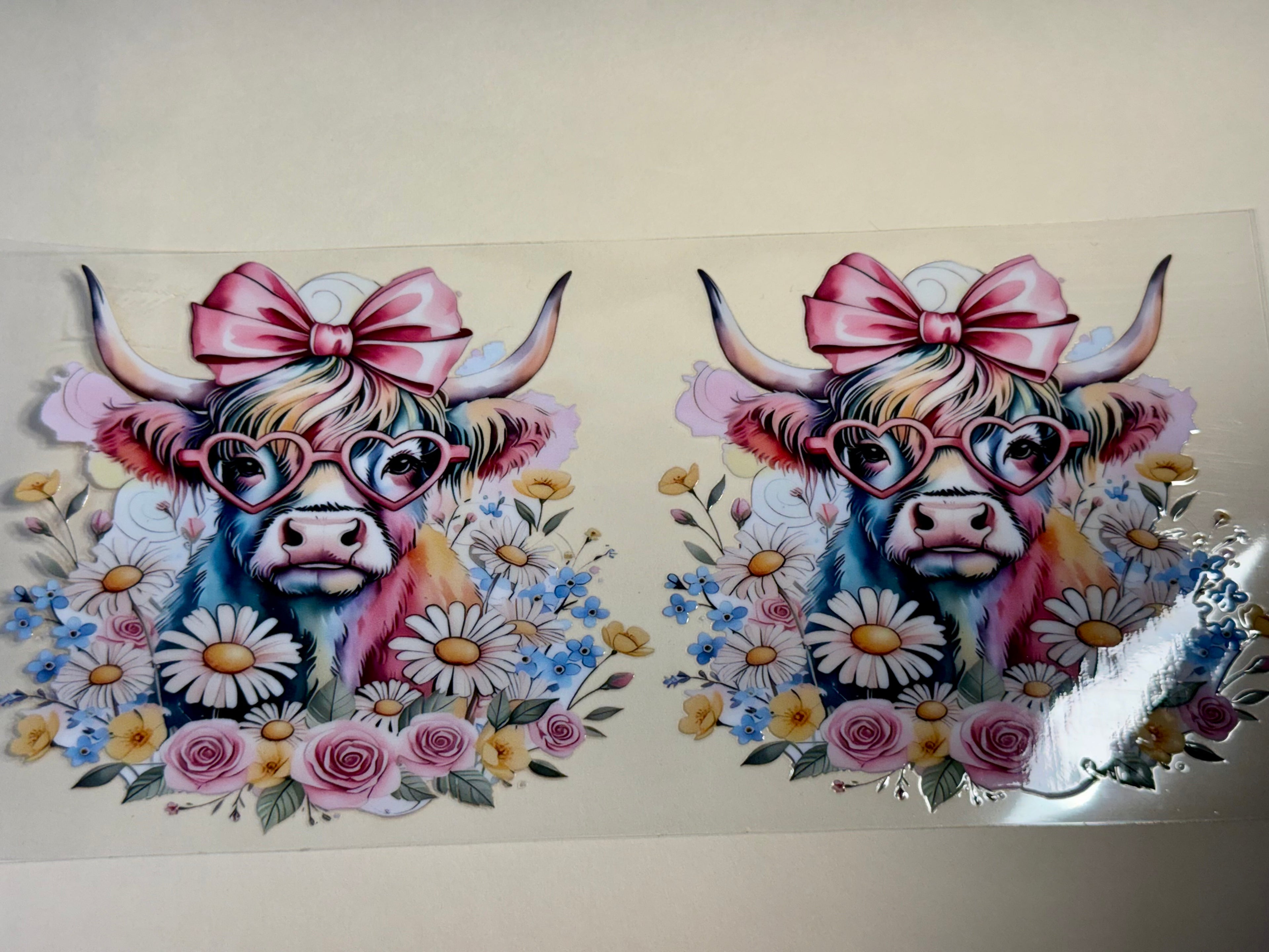 cow with glasses