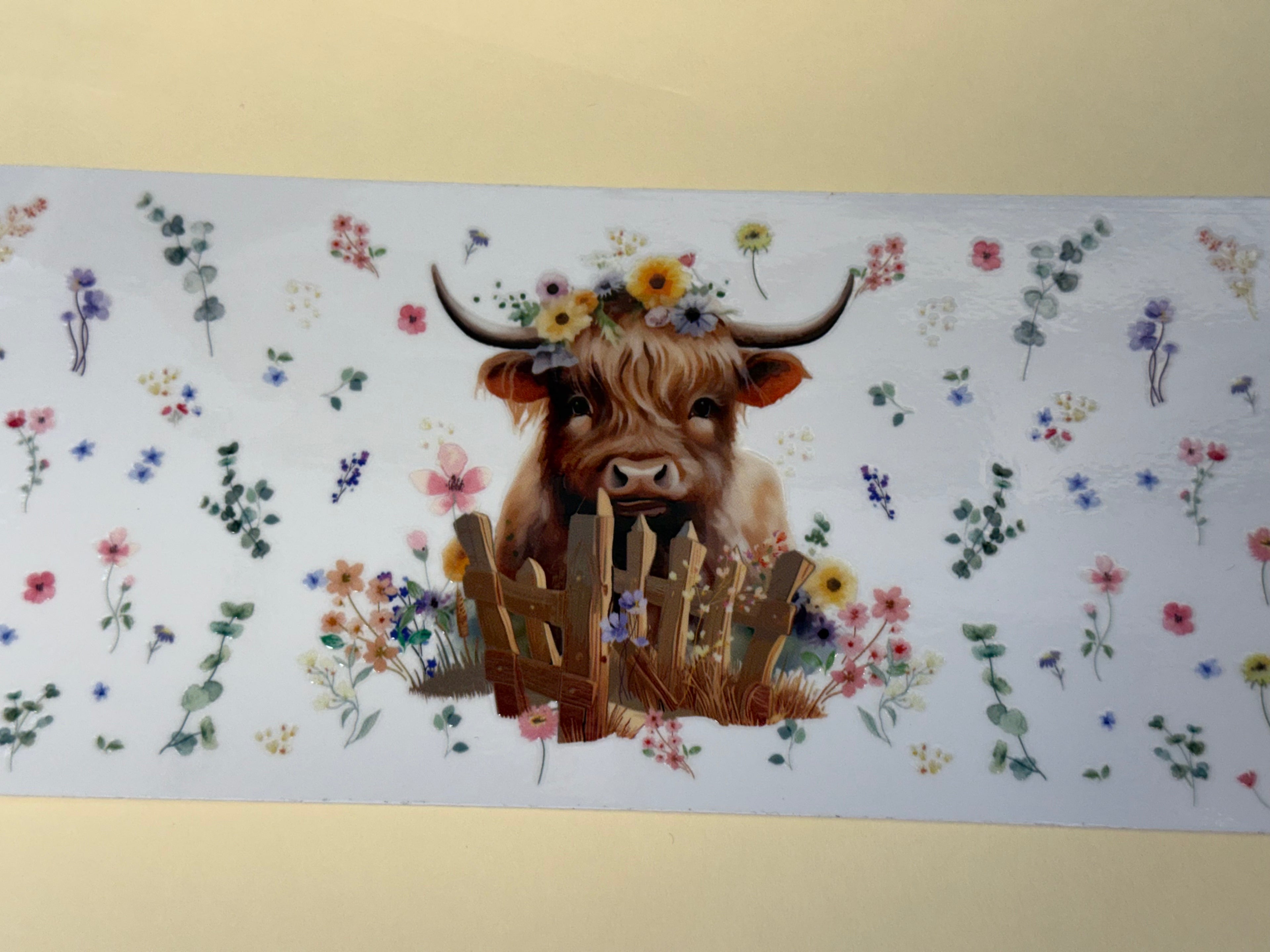 highland cow (Copy)