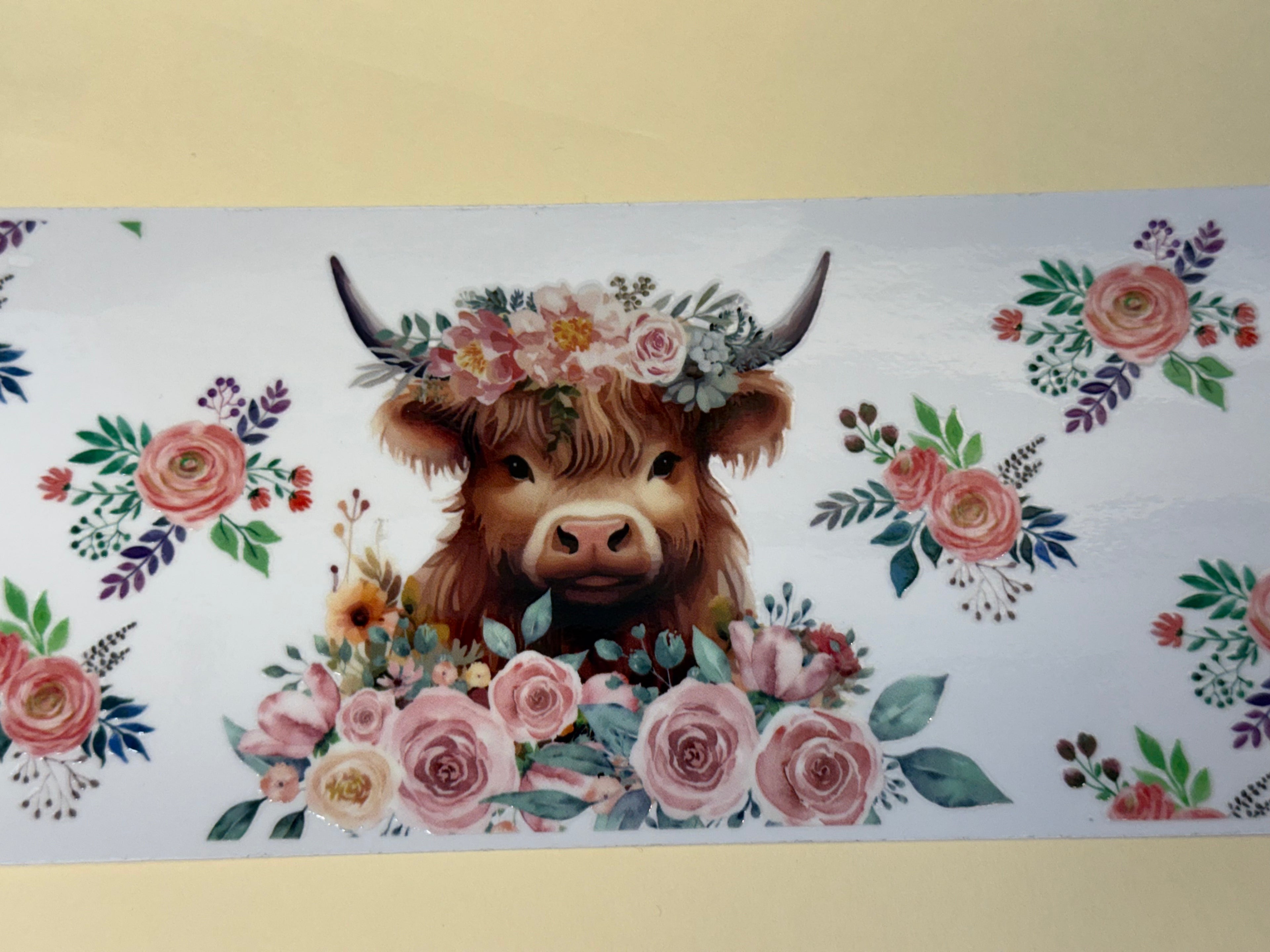 highland cow (Copy)