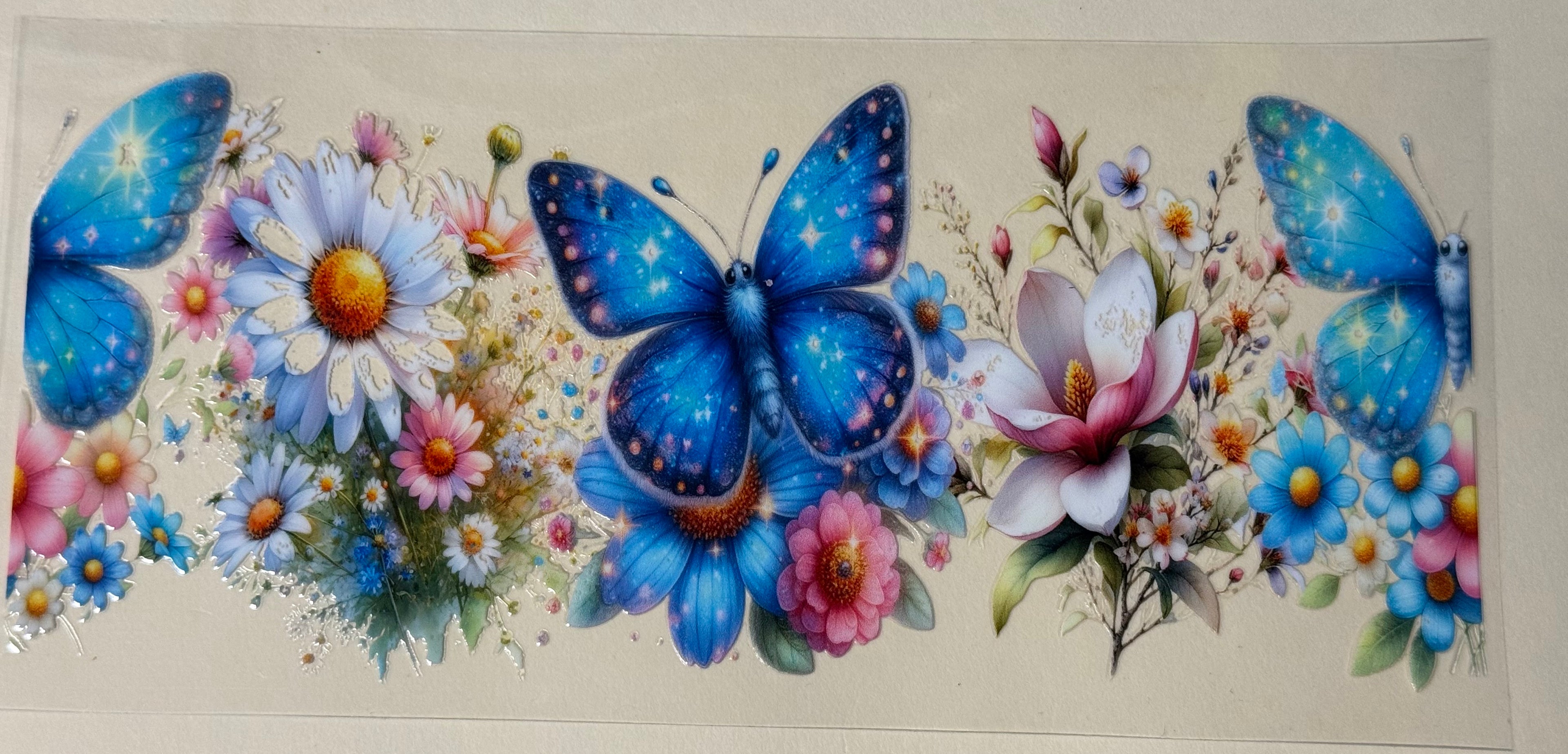 blue butterfly