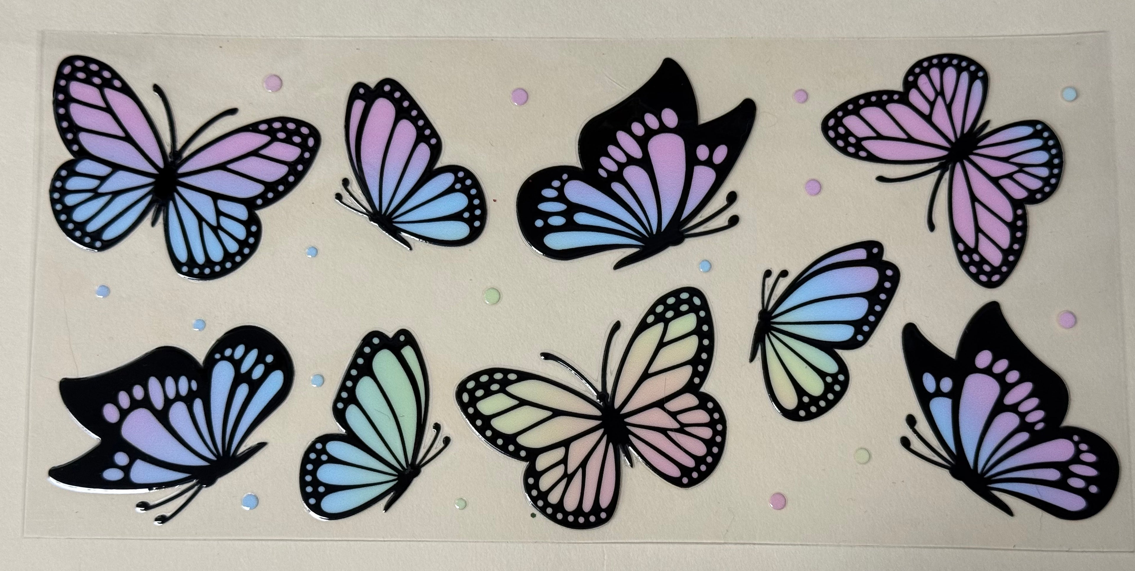 Colorful Butterfly