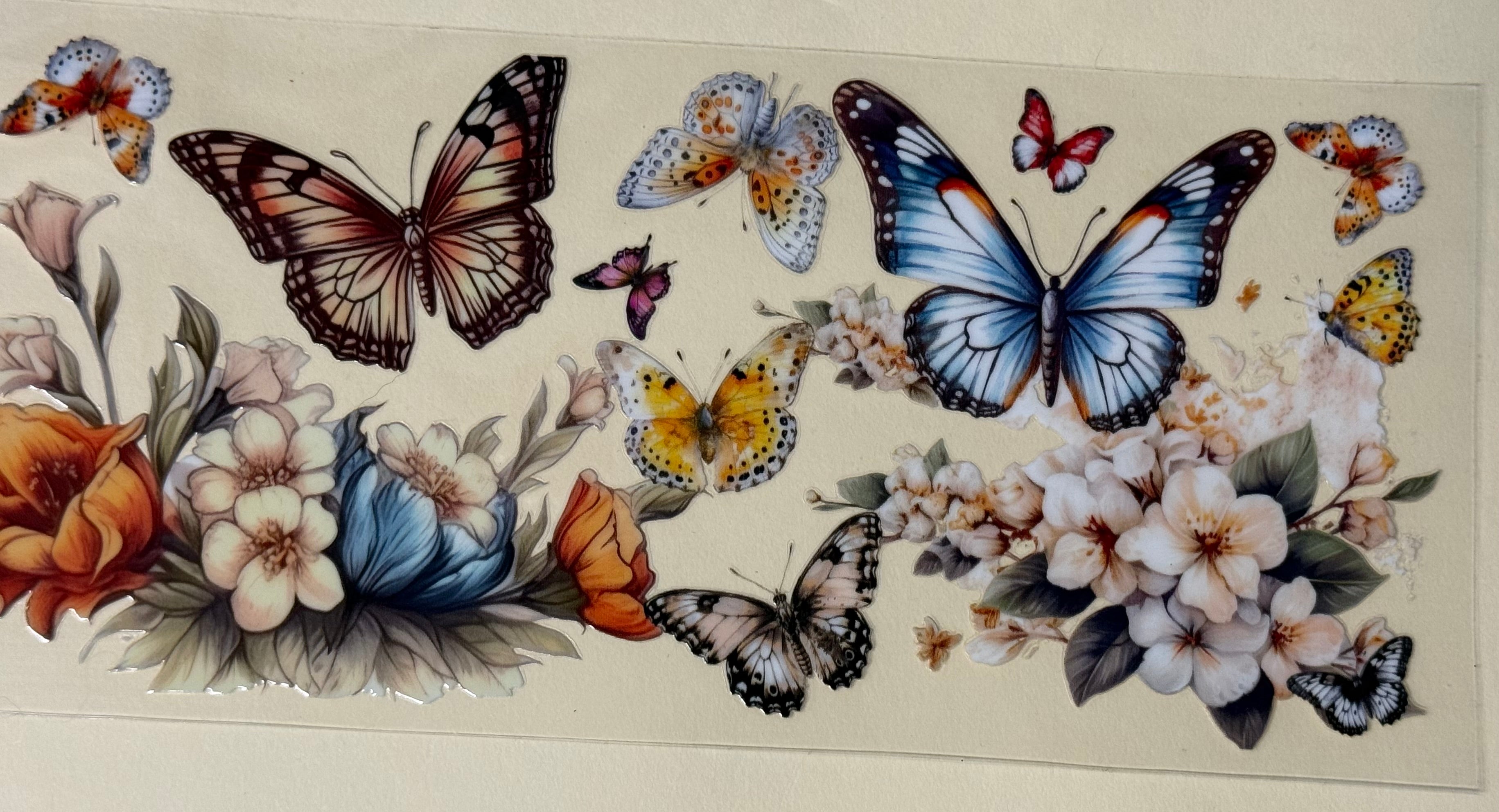 flower and butterflies