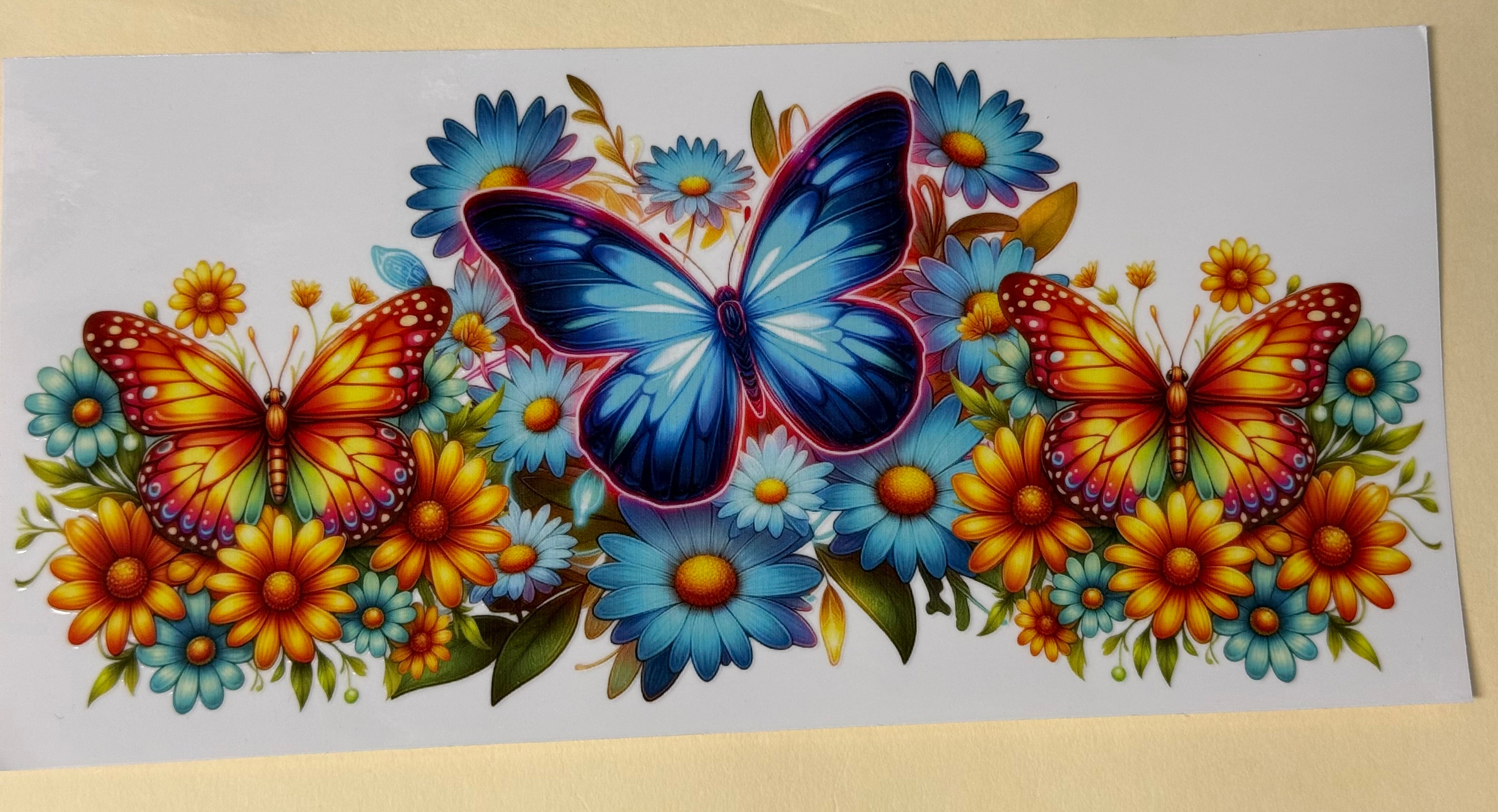butterfly