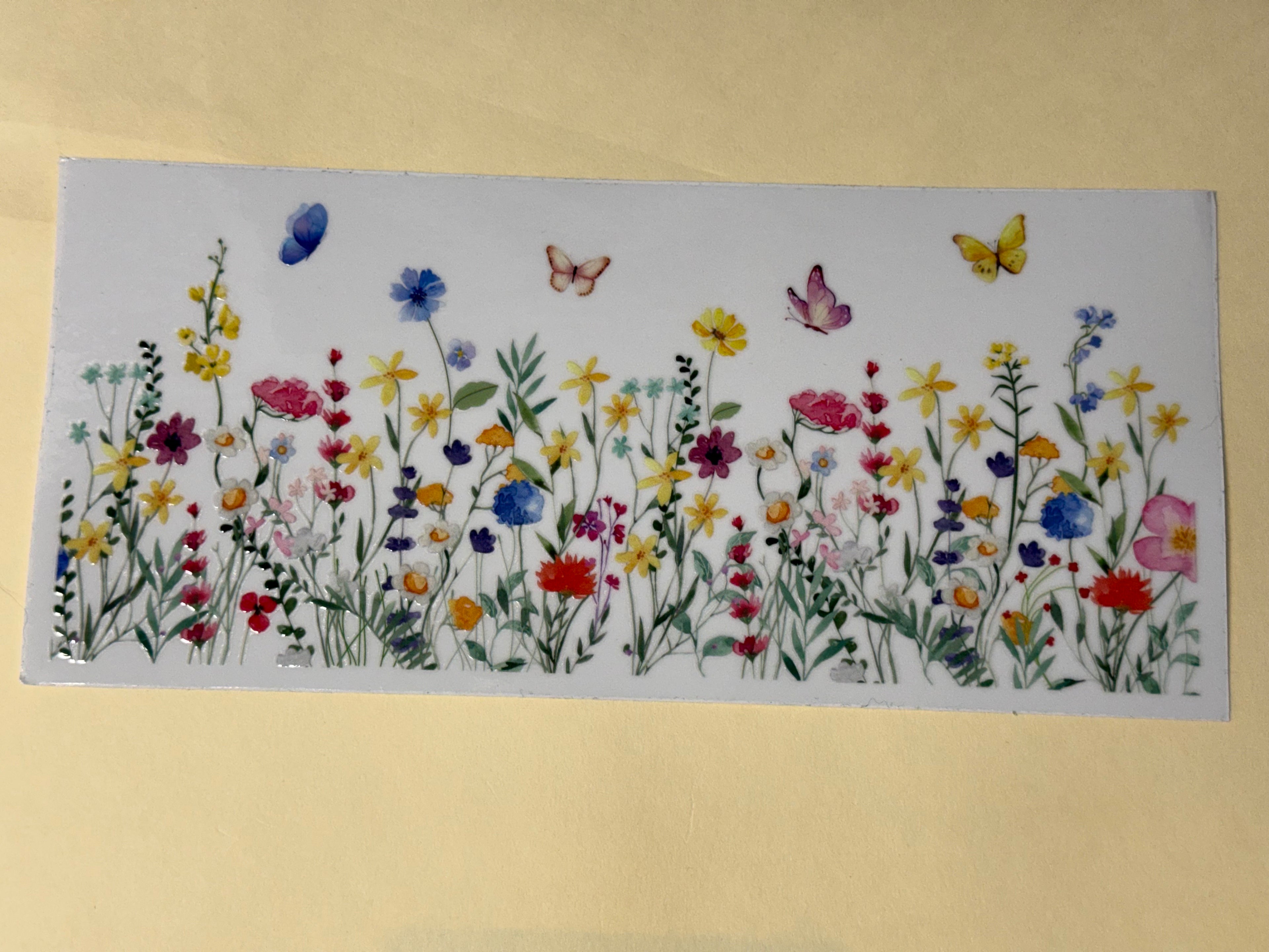 butterfly (Copy)
