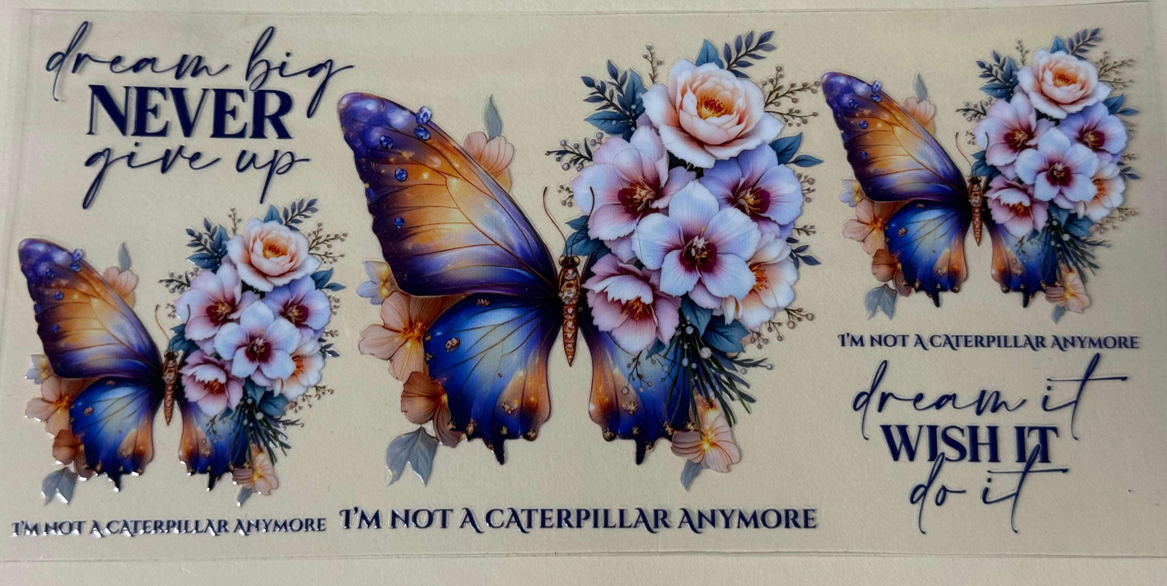 Im Not a Caterpillar anymore