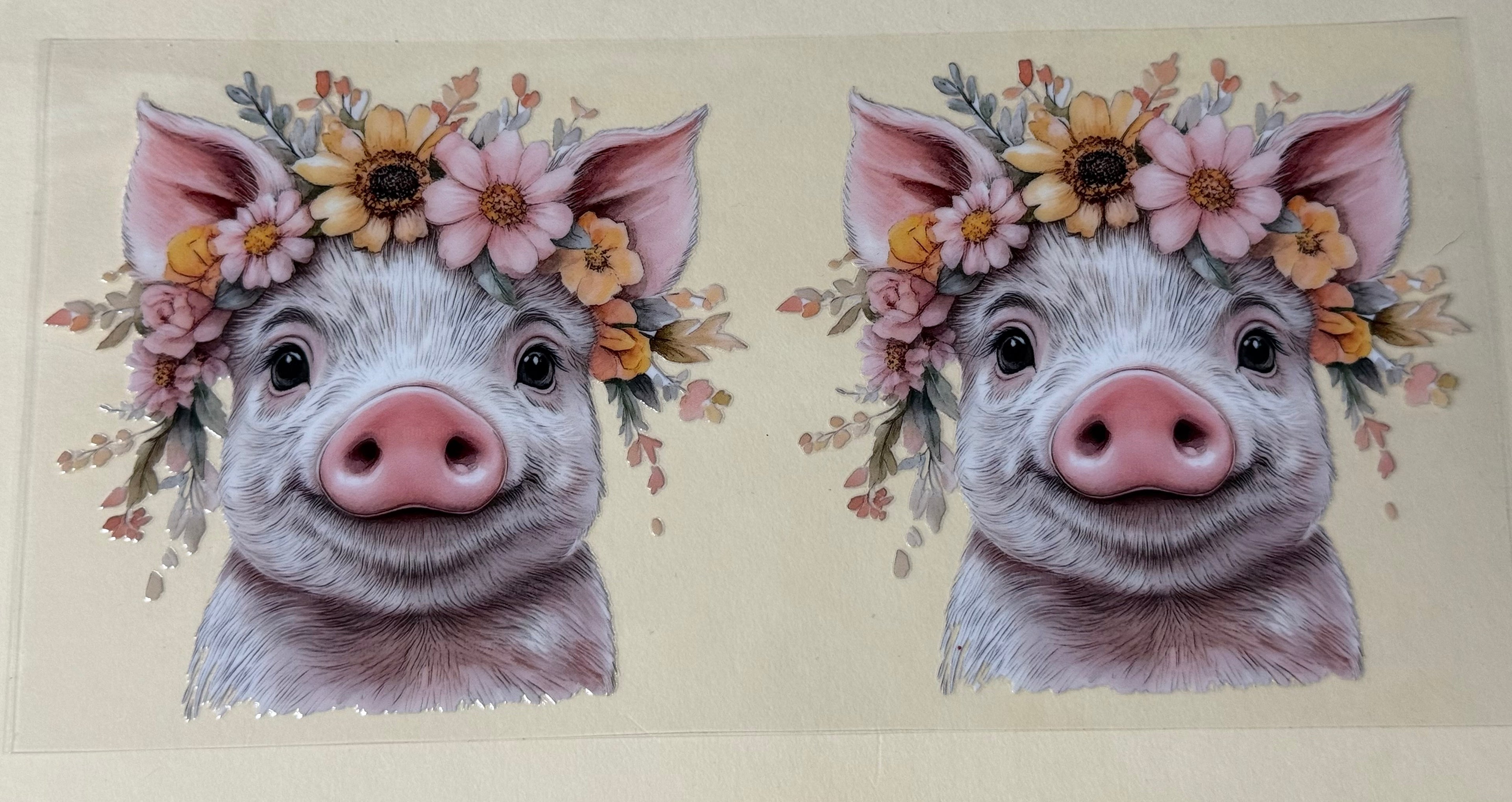 Piggy
