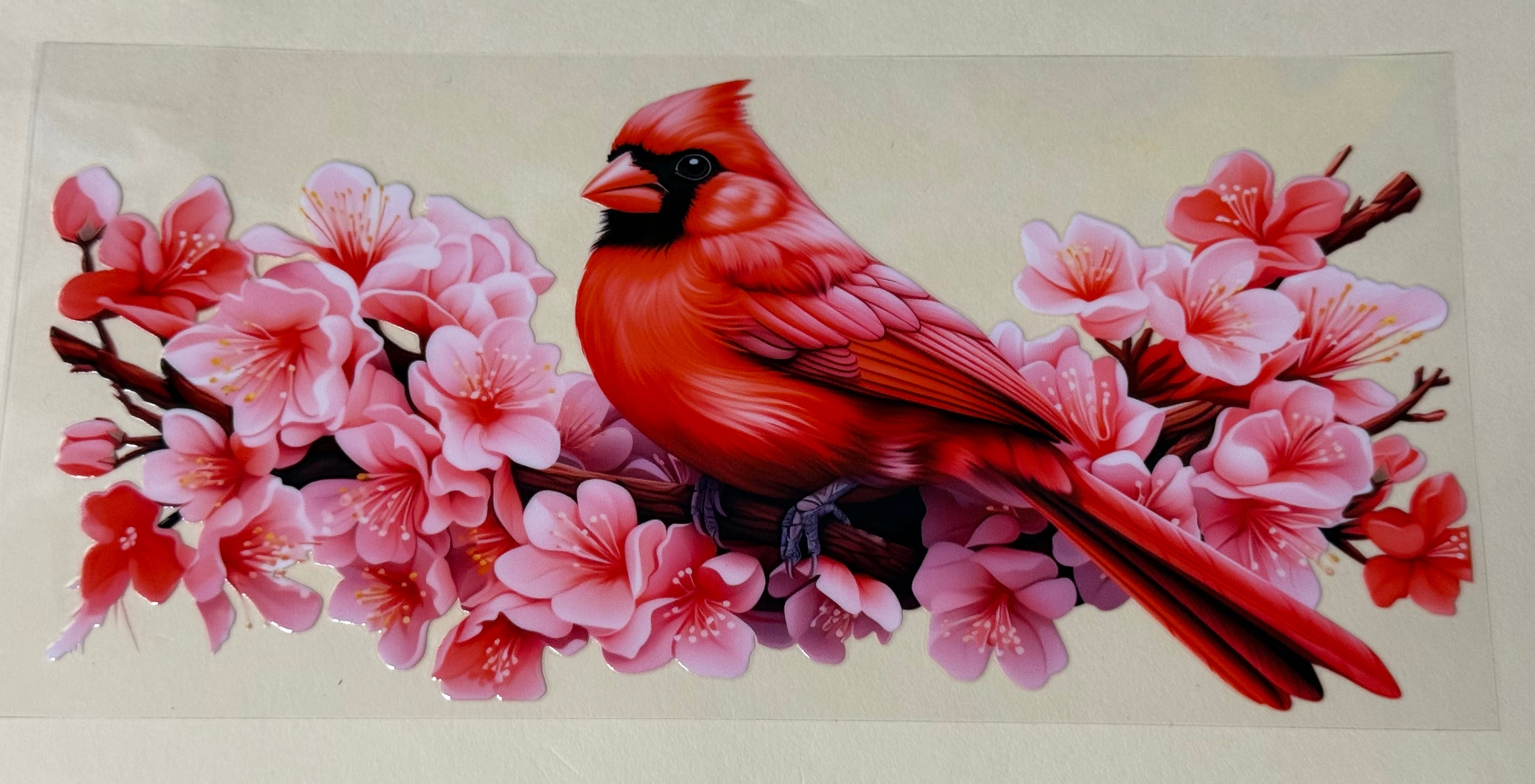 Cardinals