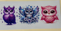 Owls