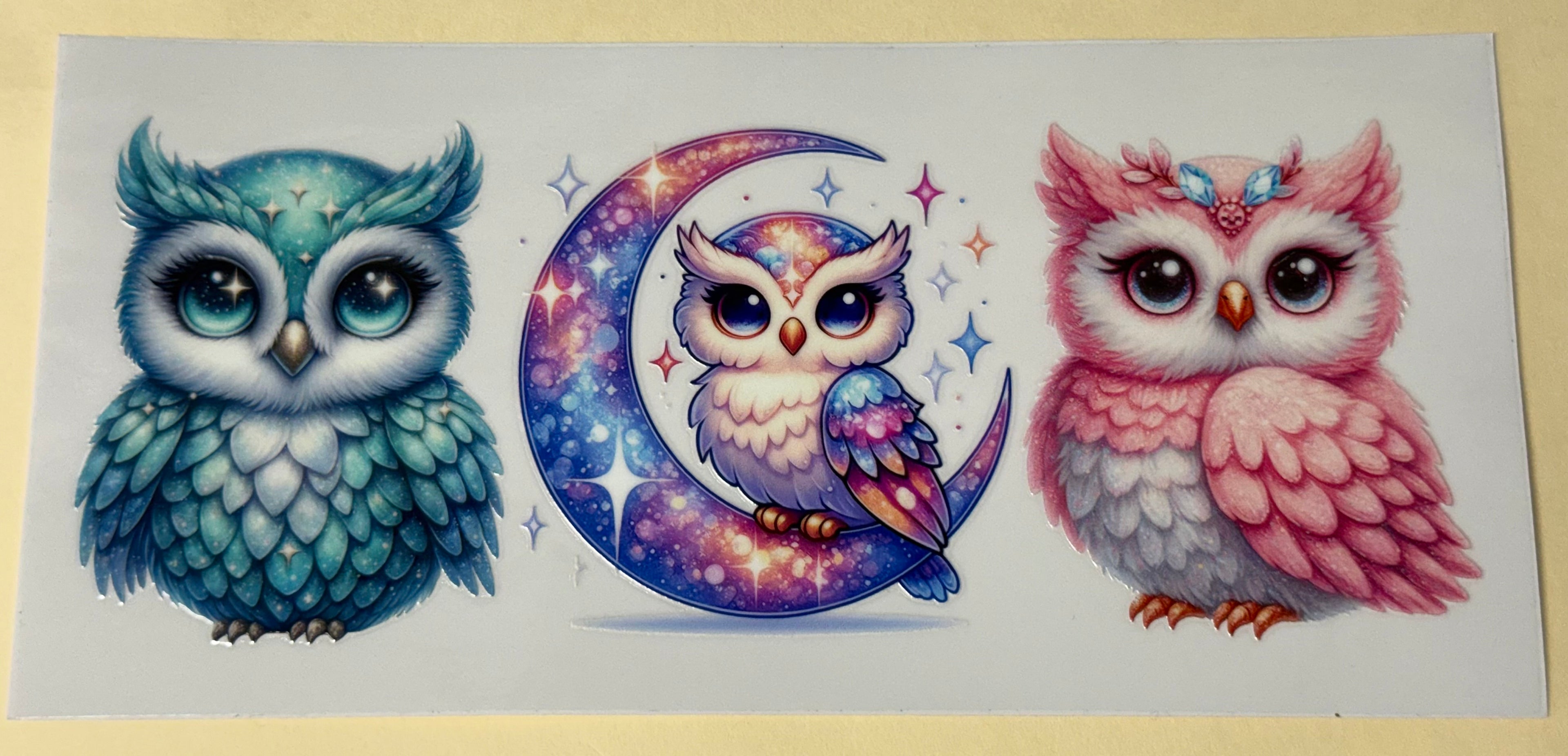 Owls (Copy)