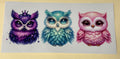Owls (Copy)
