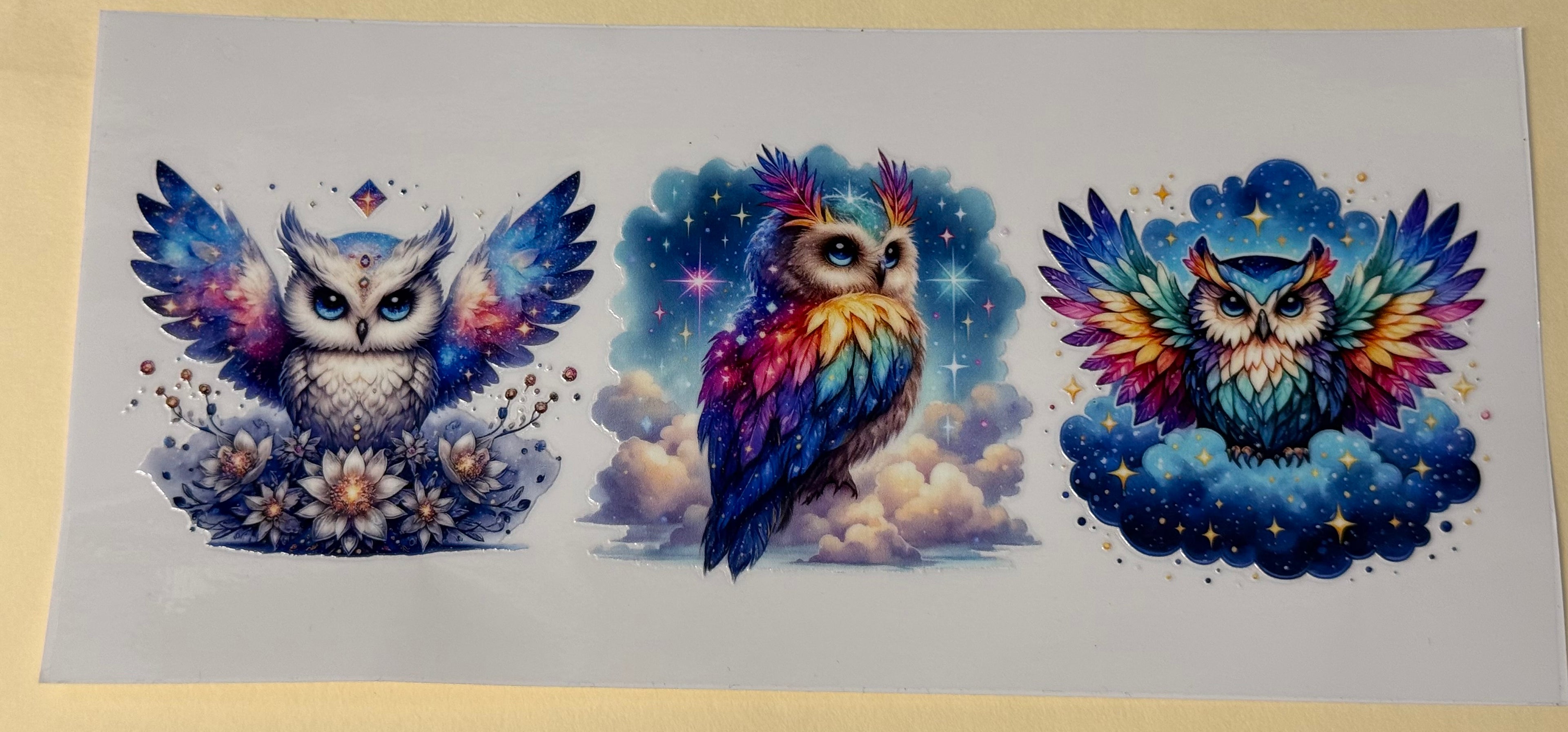 Owls (Copy)