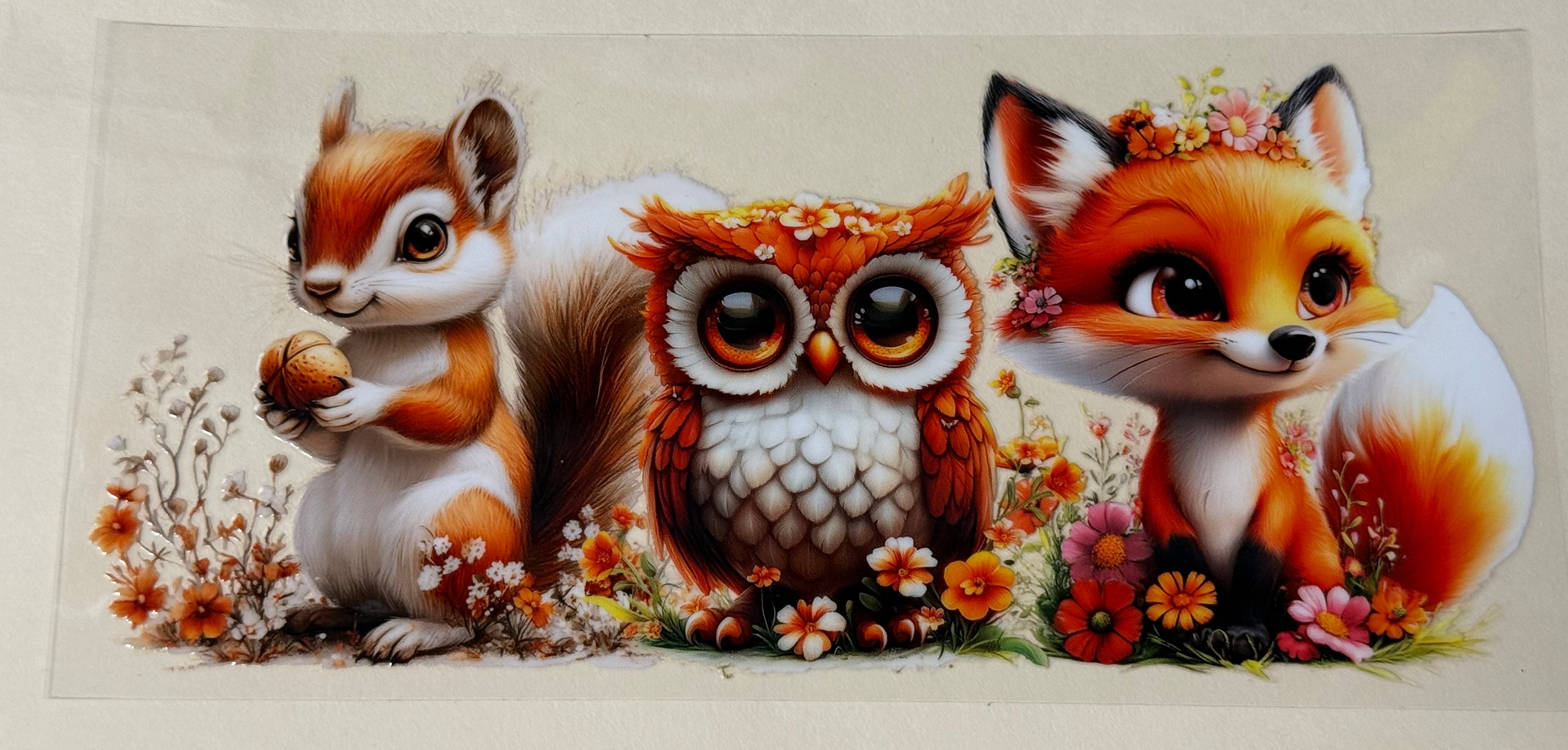 Squrl  Owl  Fox