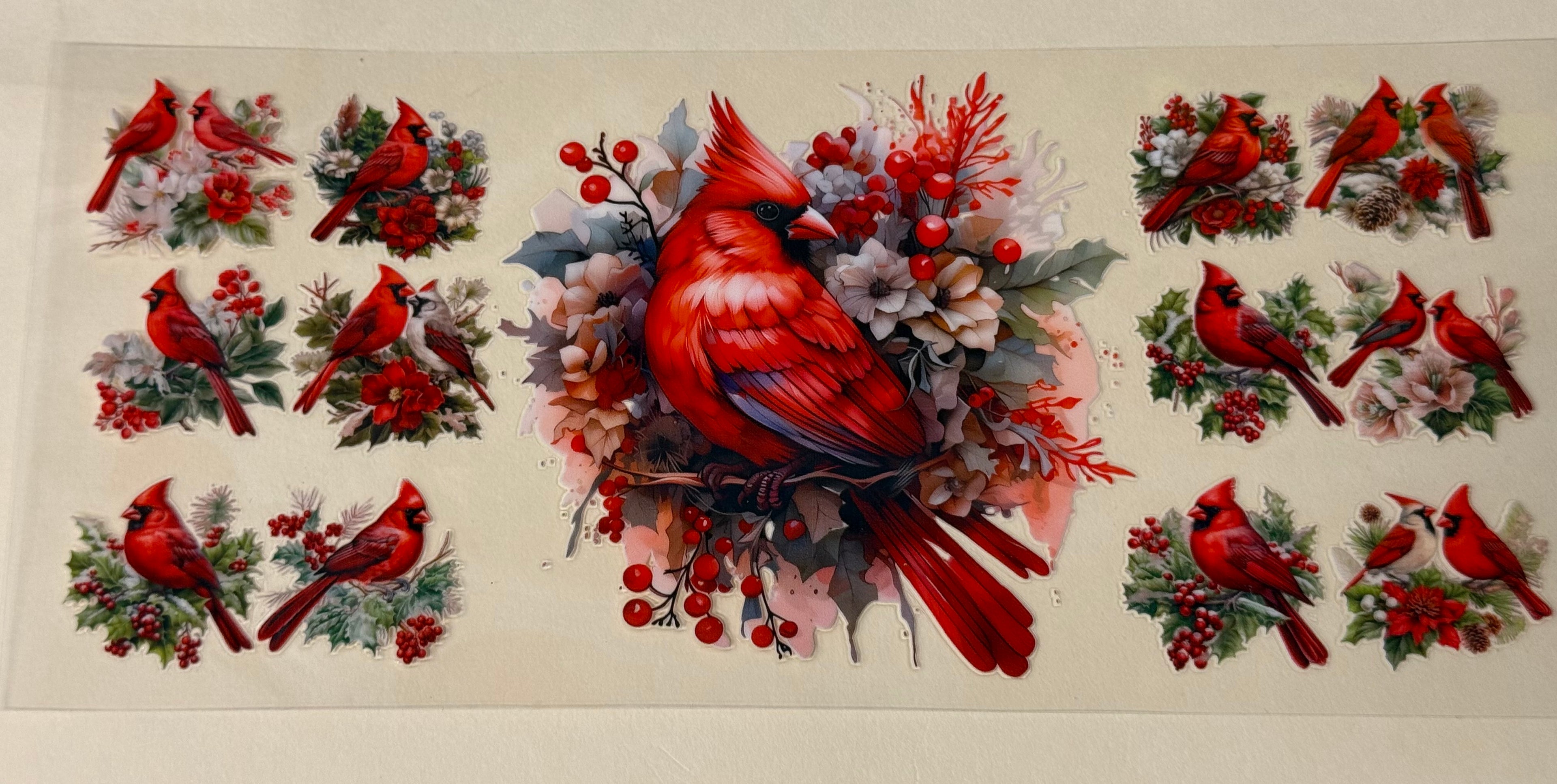 Cardinals