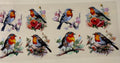 Bird (Copy)