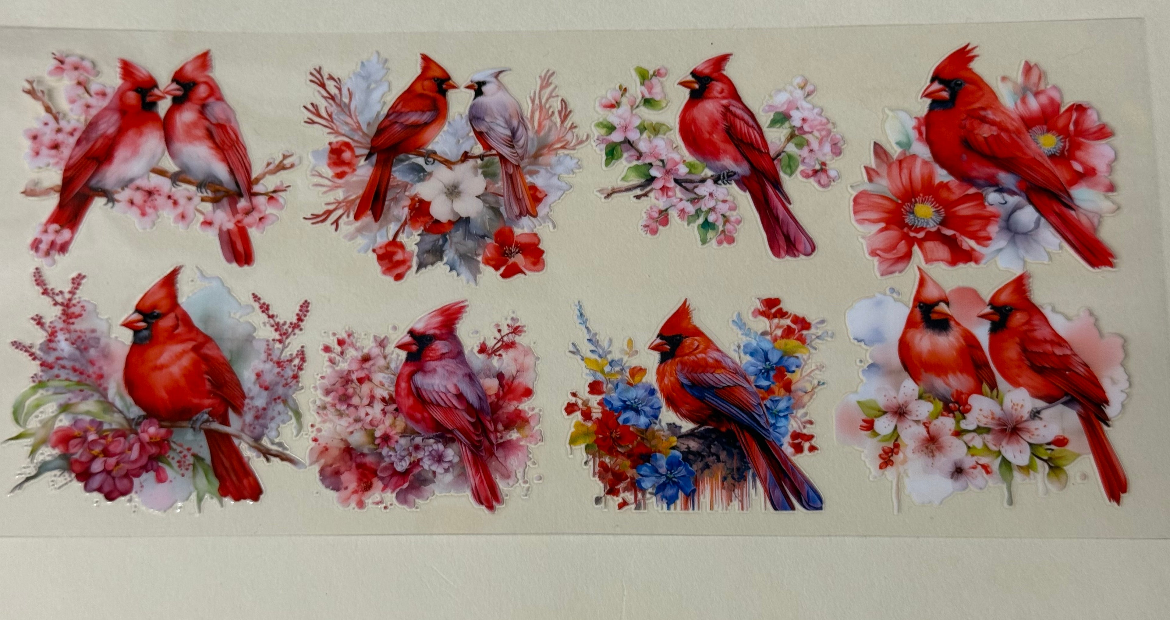 Bird (Copy)