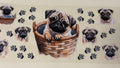 Pup (Copy)