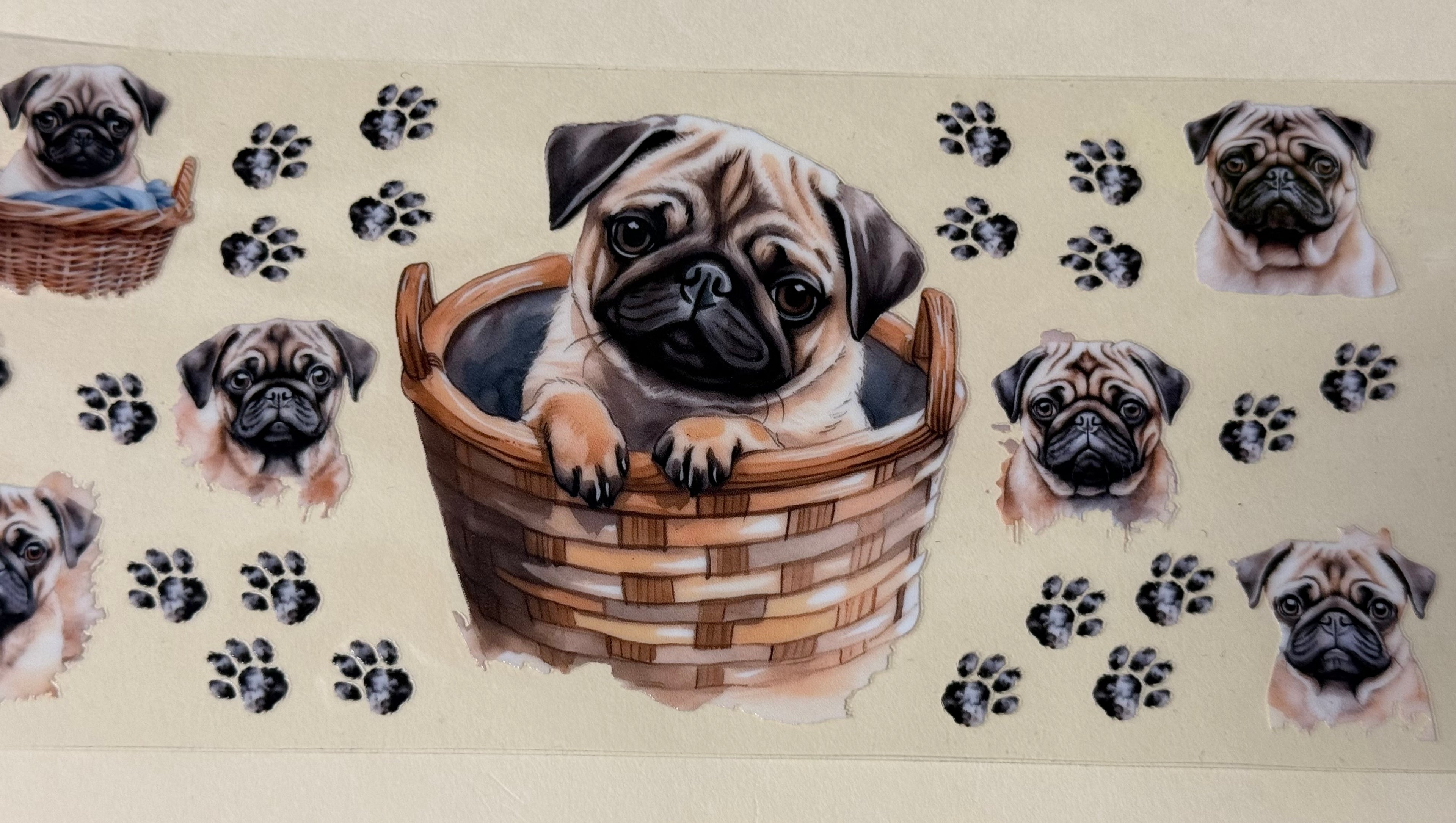 Pup (Copy)