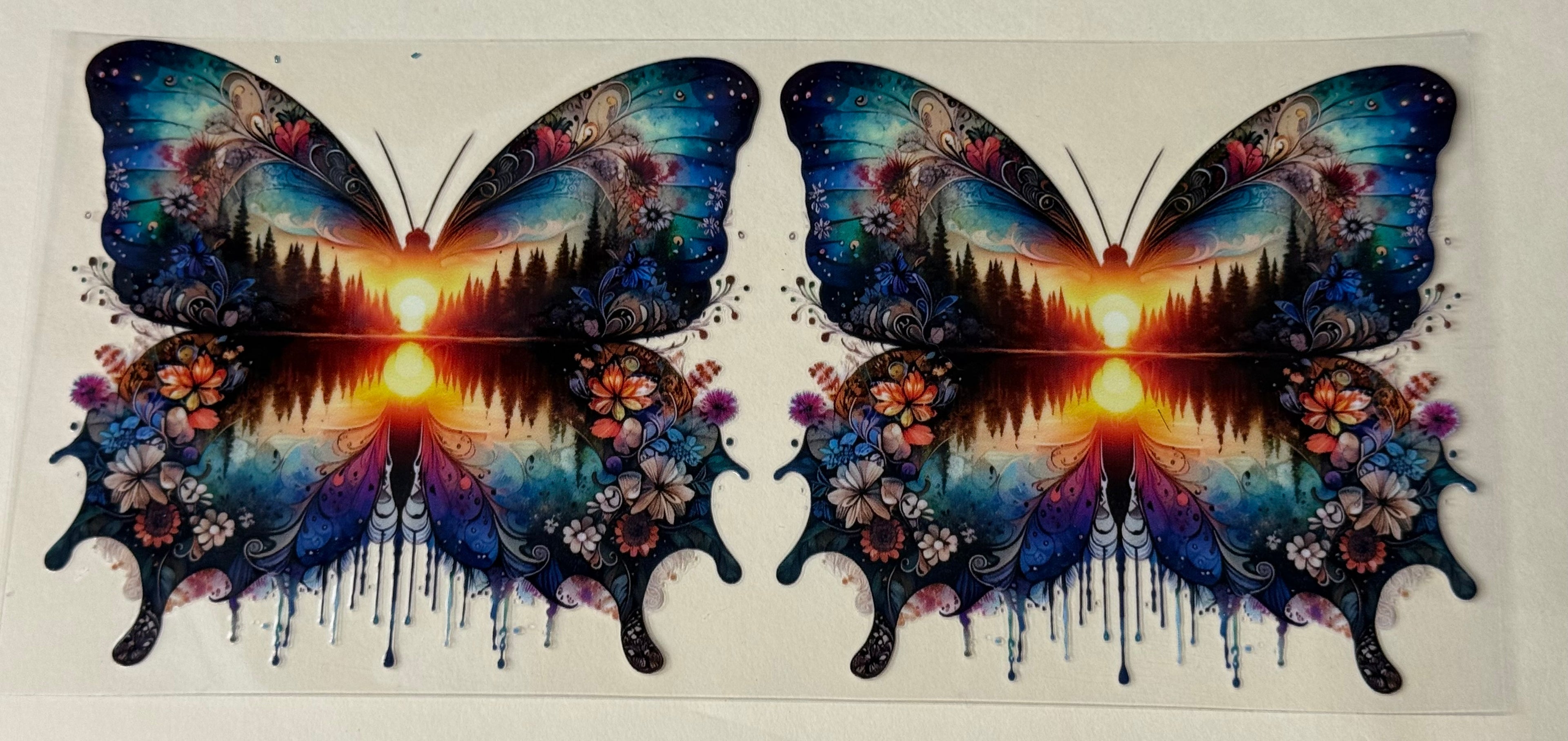 summer butterfly