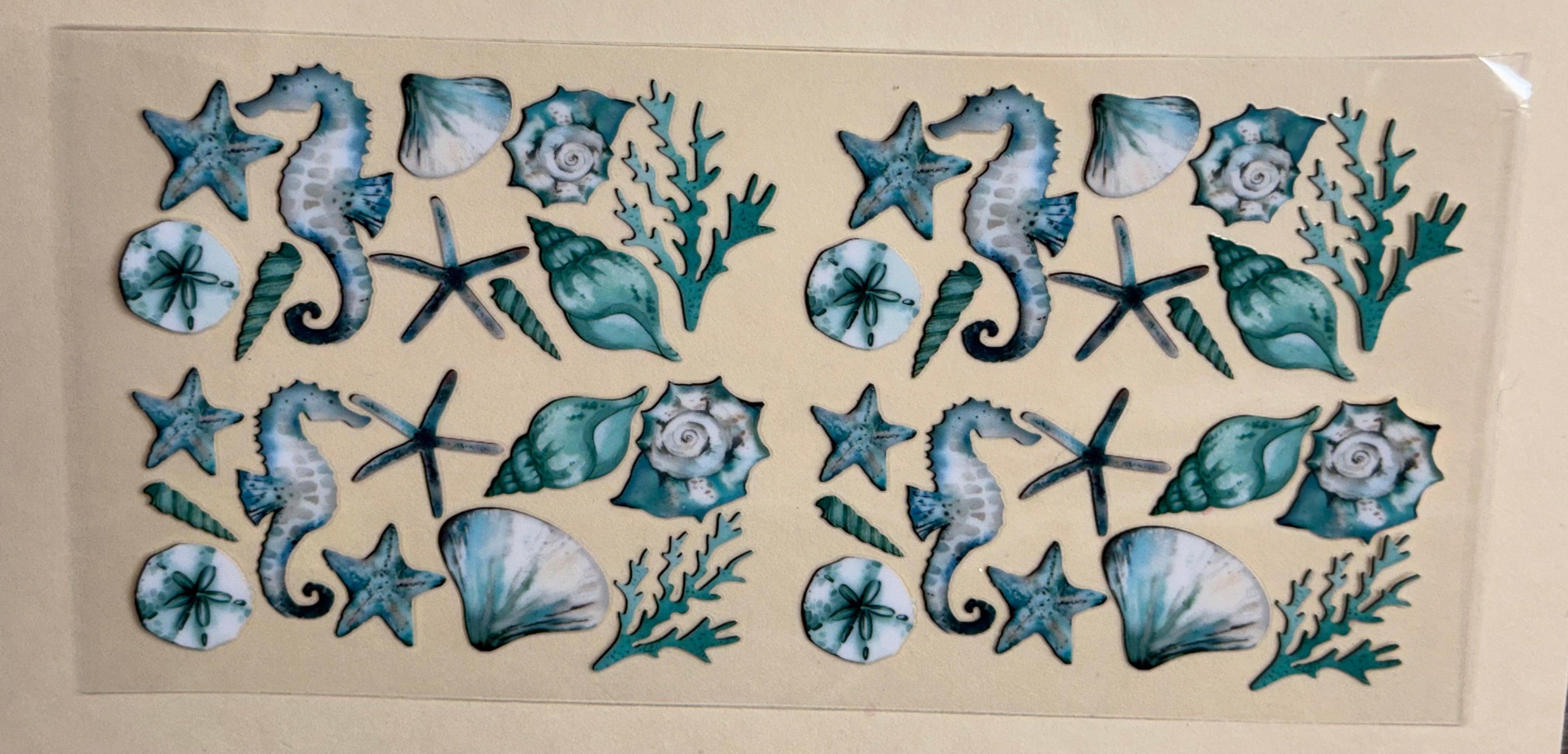 sea horses and shells