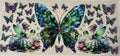Fairy (Copy)