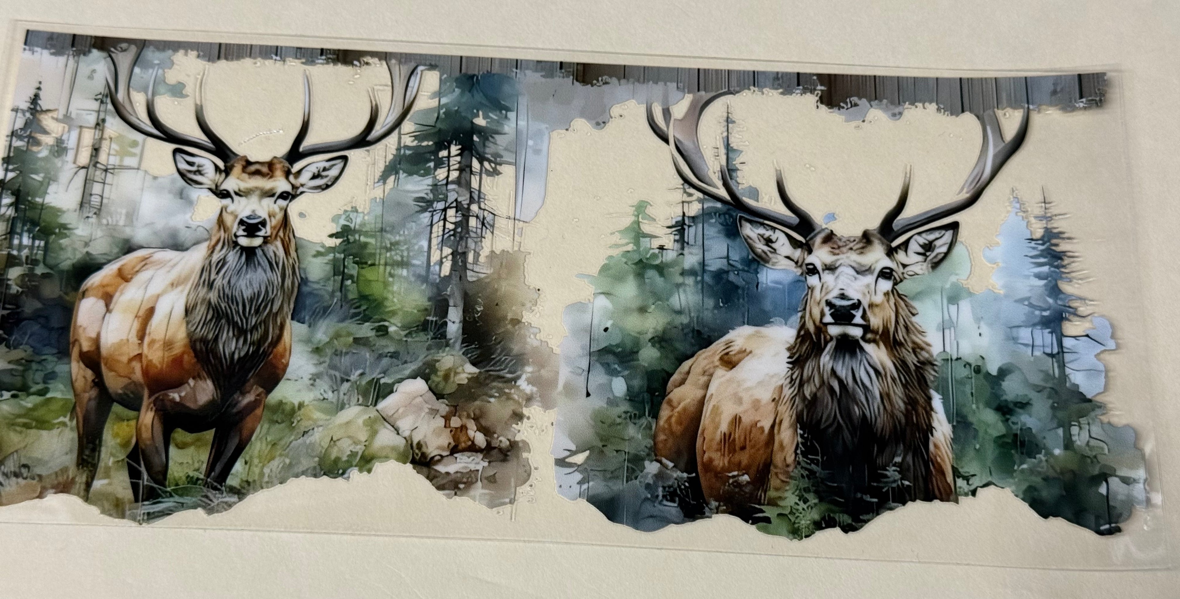 deer