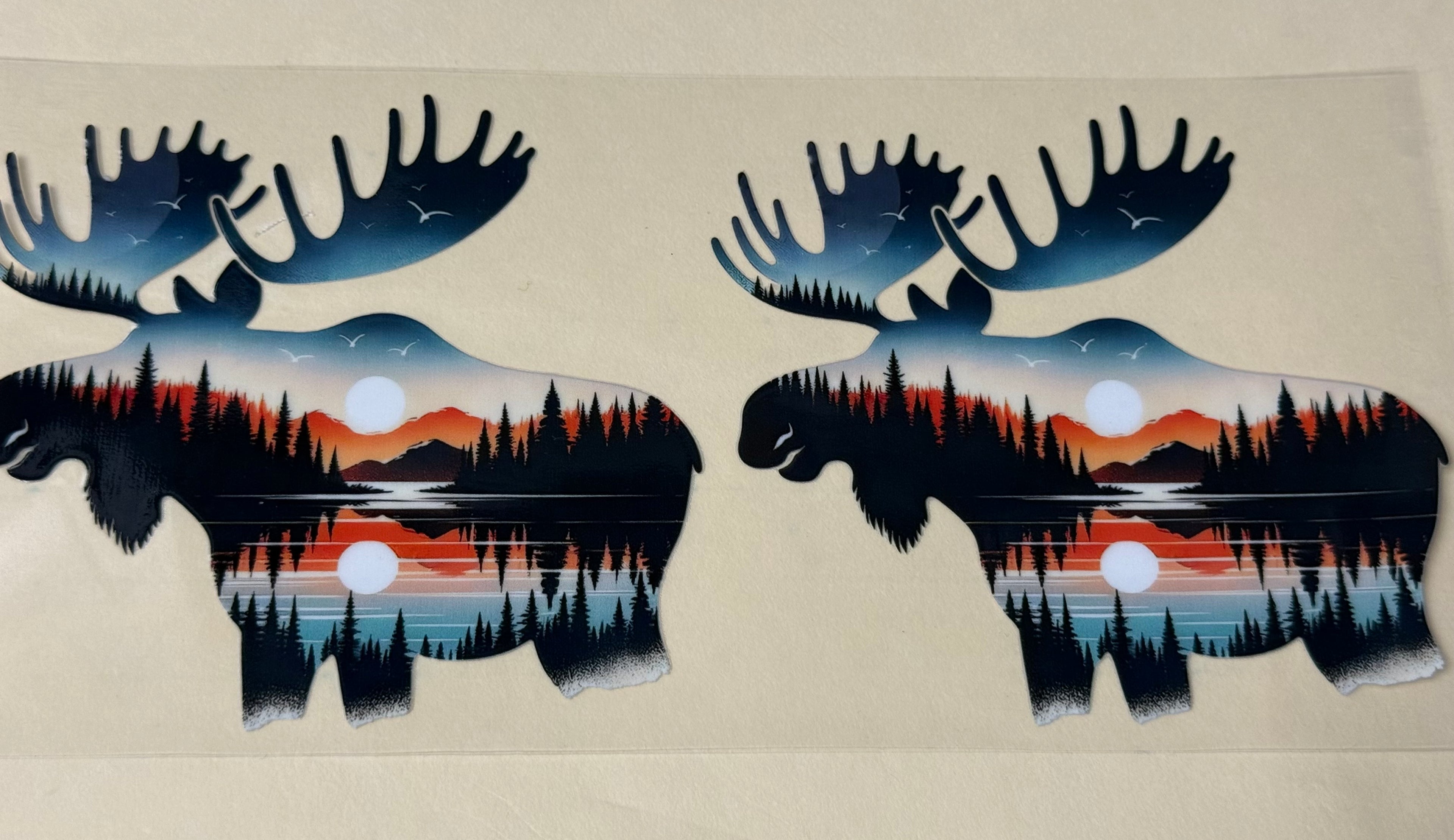 moose