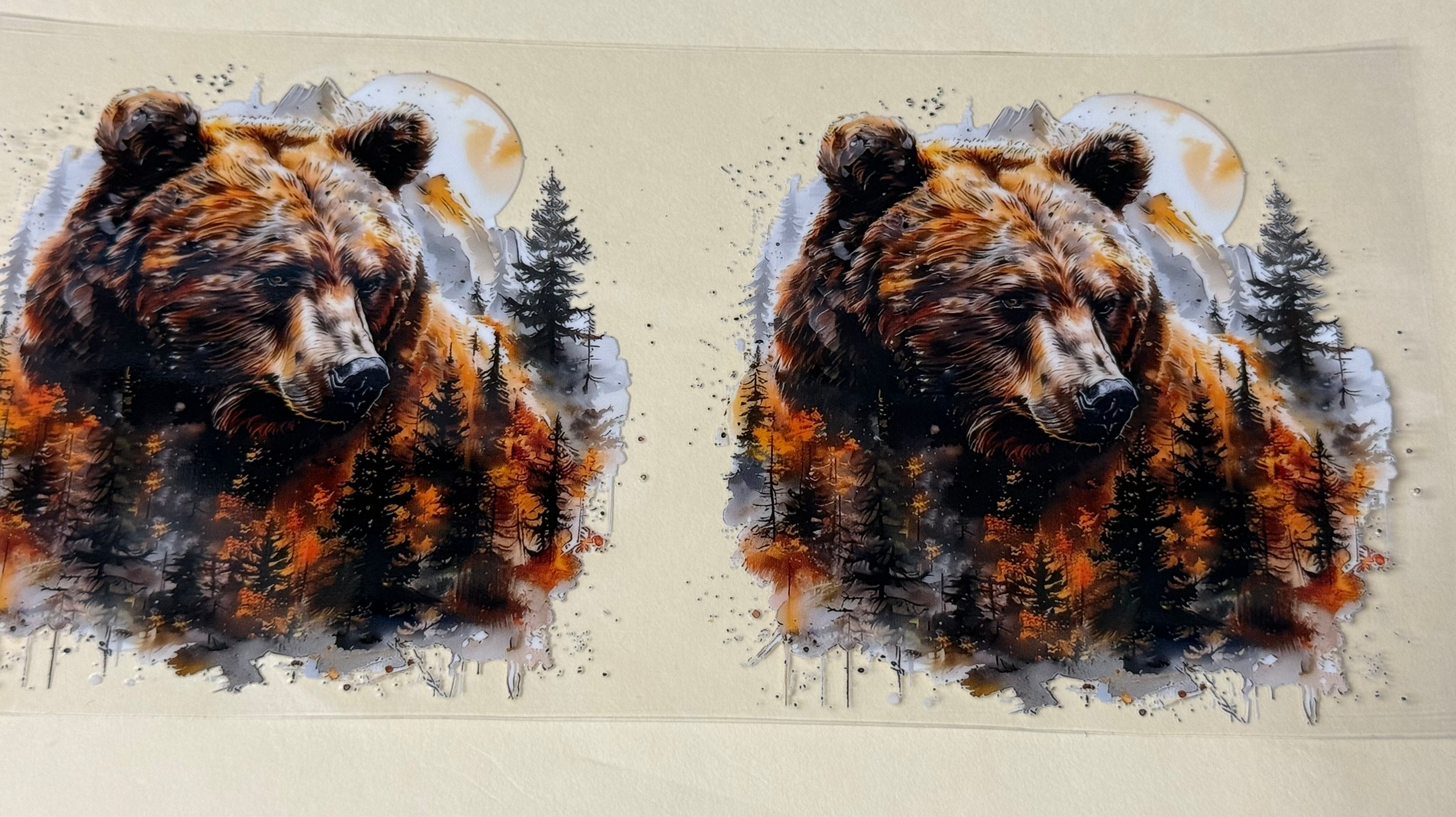 bear