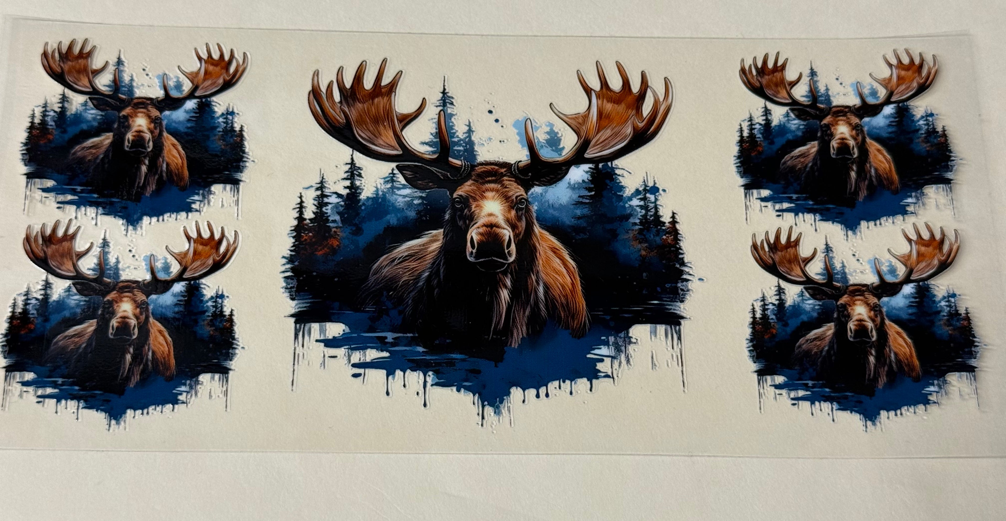 moose