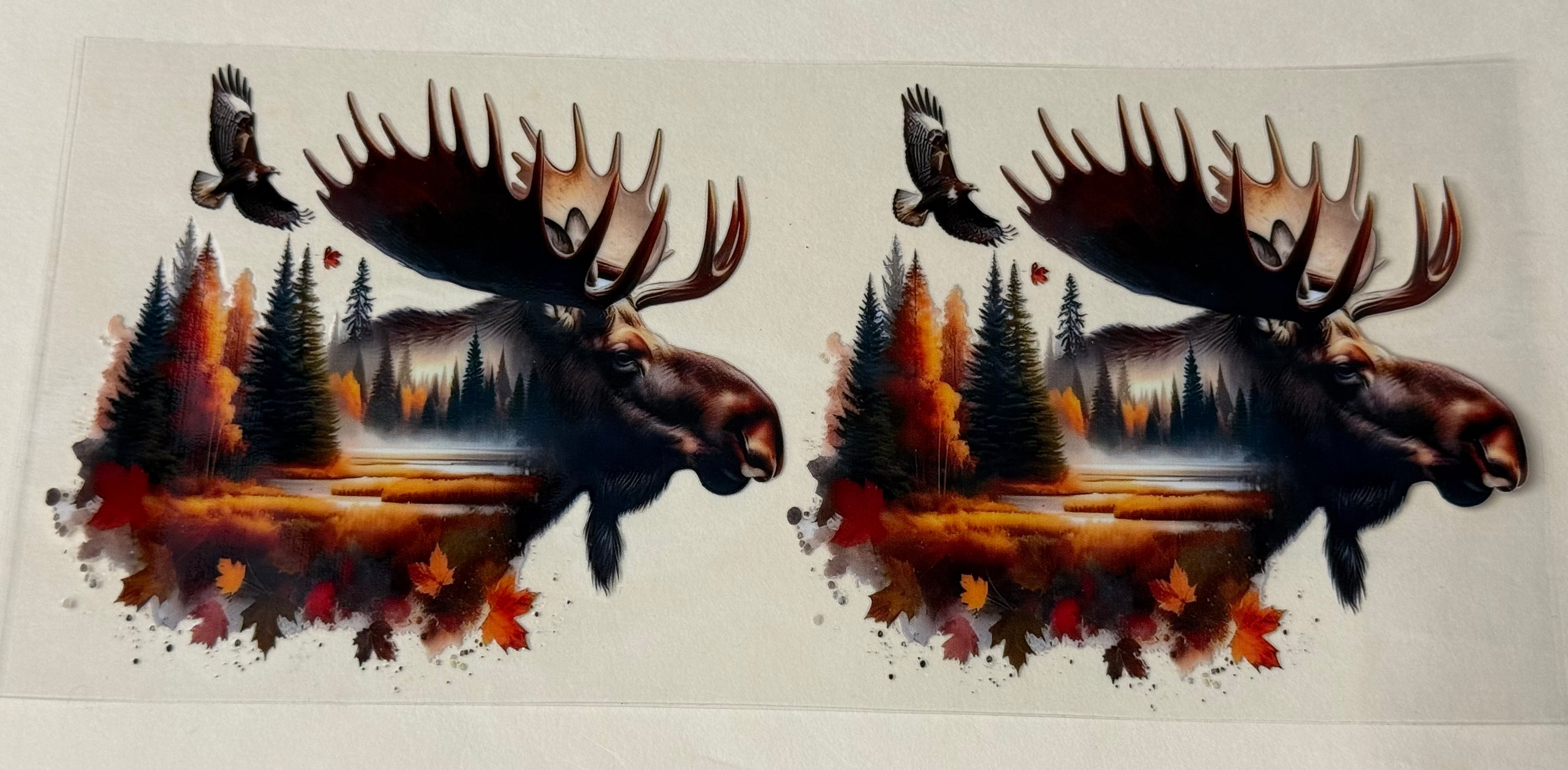 moose