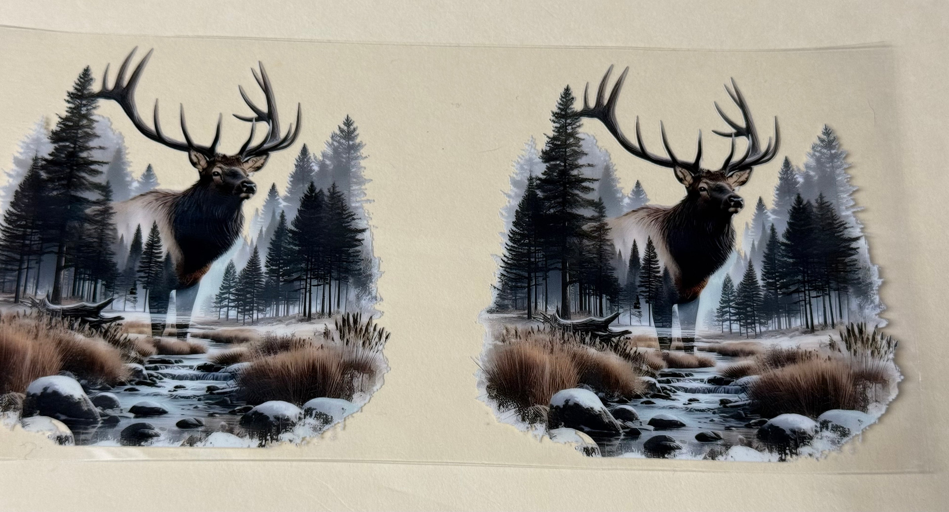 elk