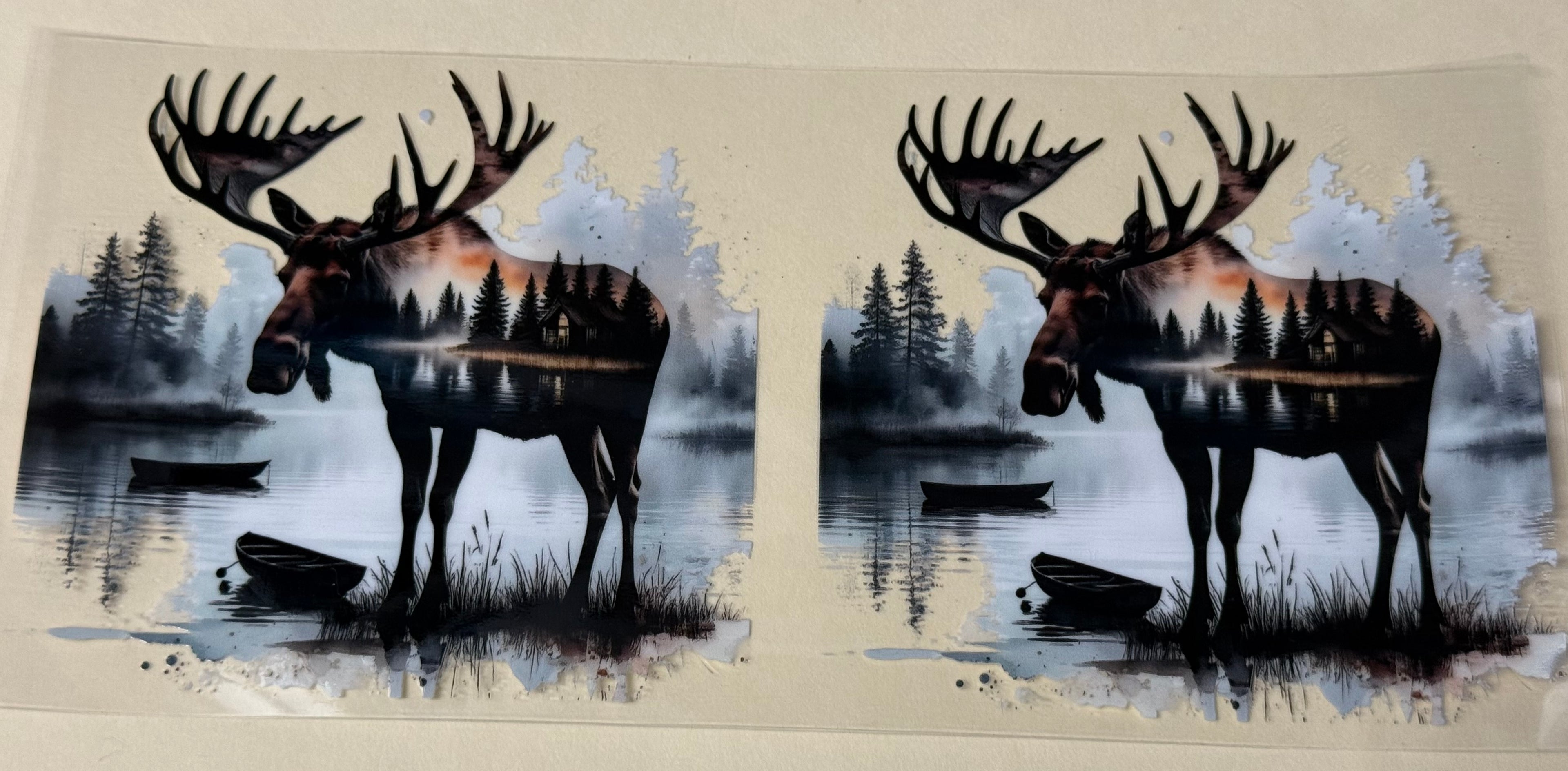 moose