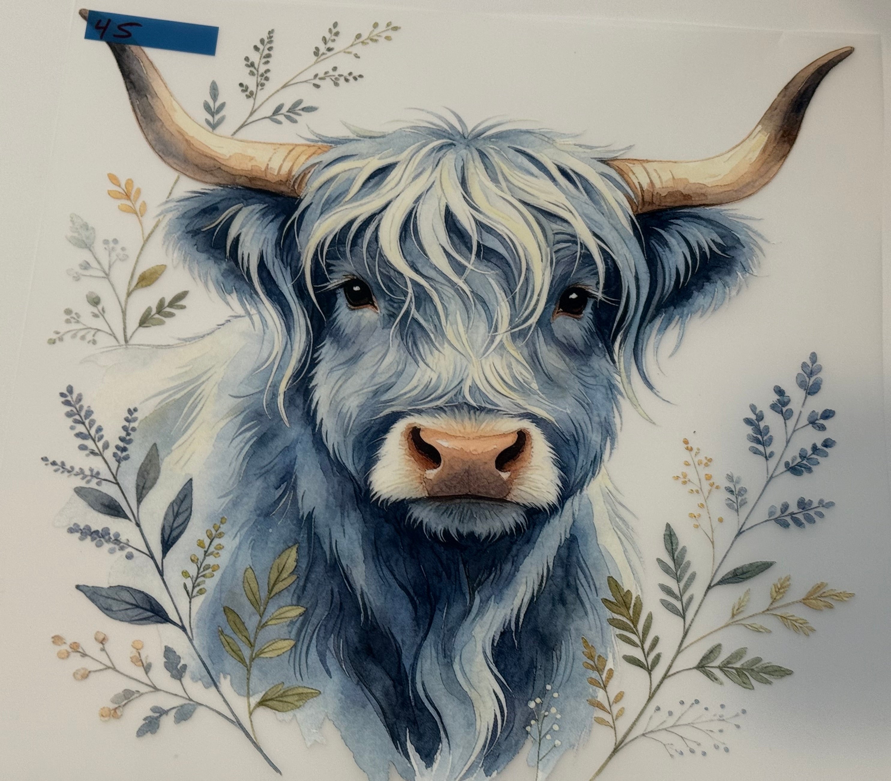 blue cow