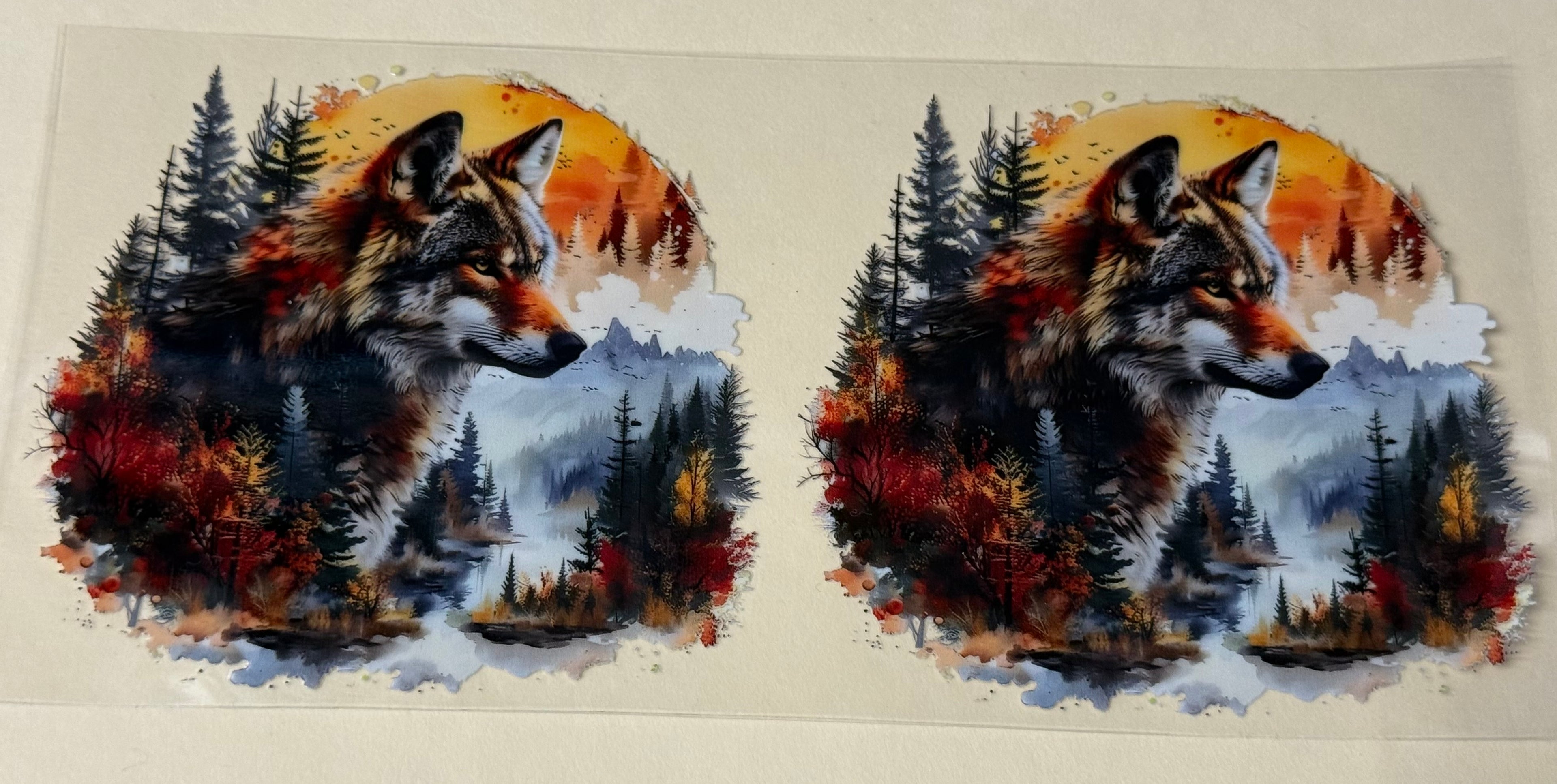 fox