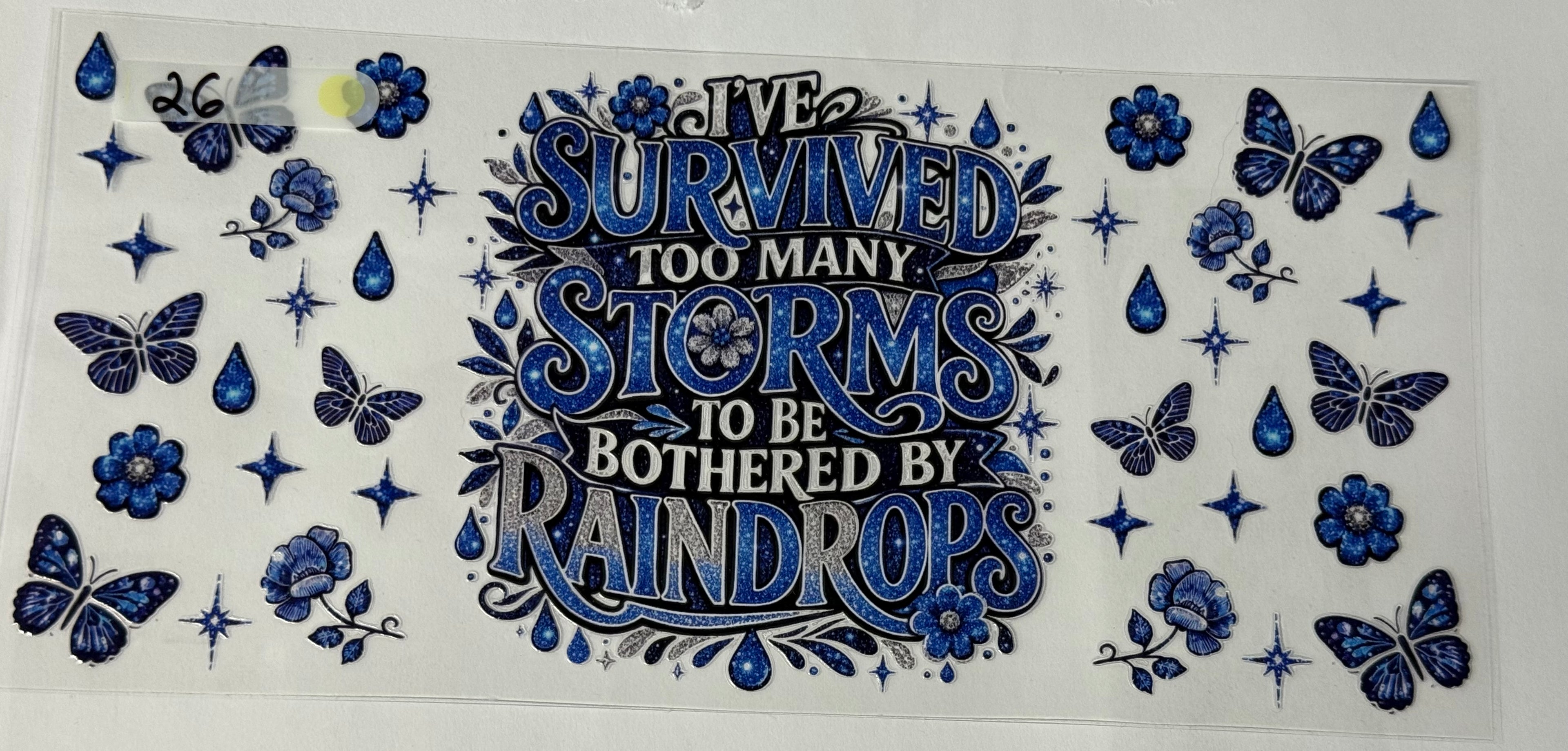 Ive Survived too many Storms to be Bothered by Raindrops