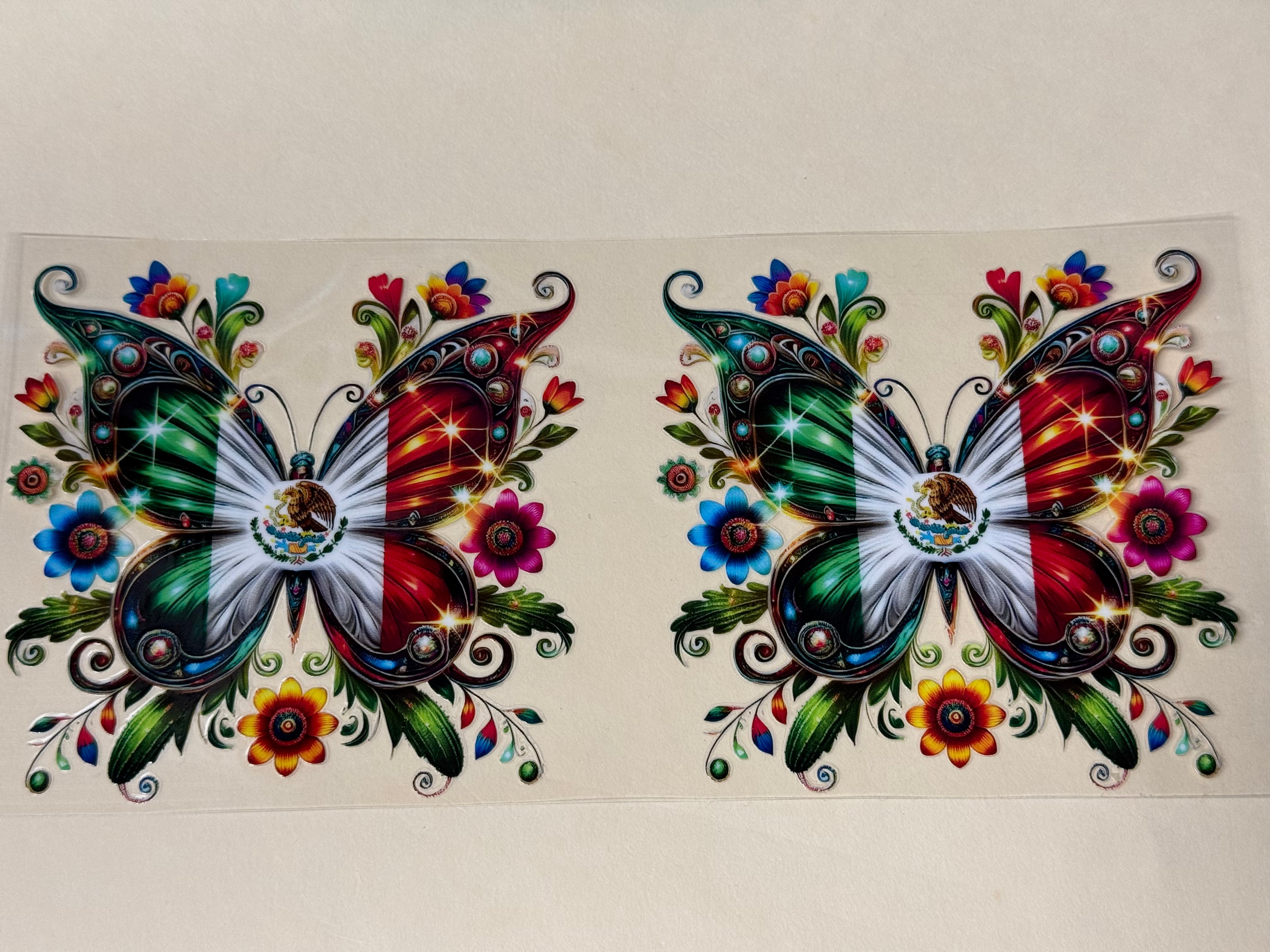 Mexico butterfly