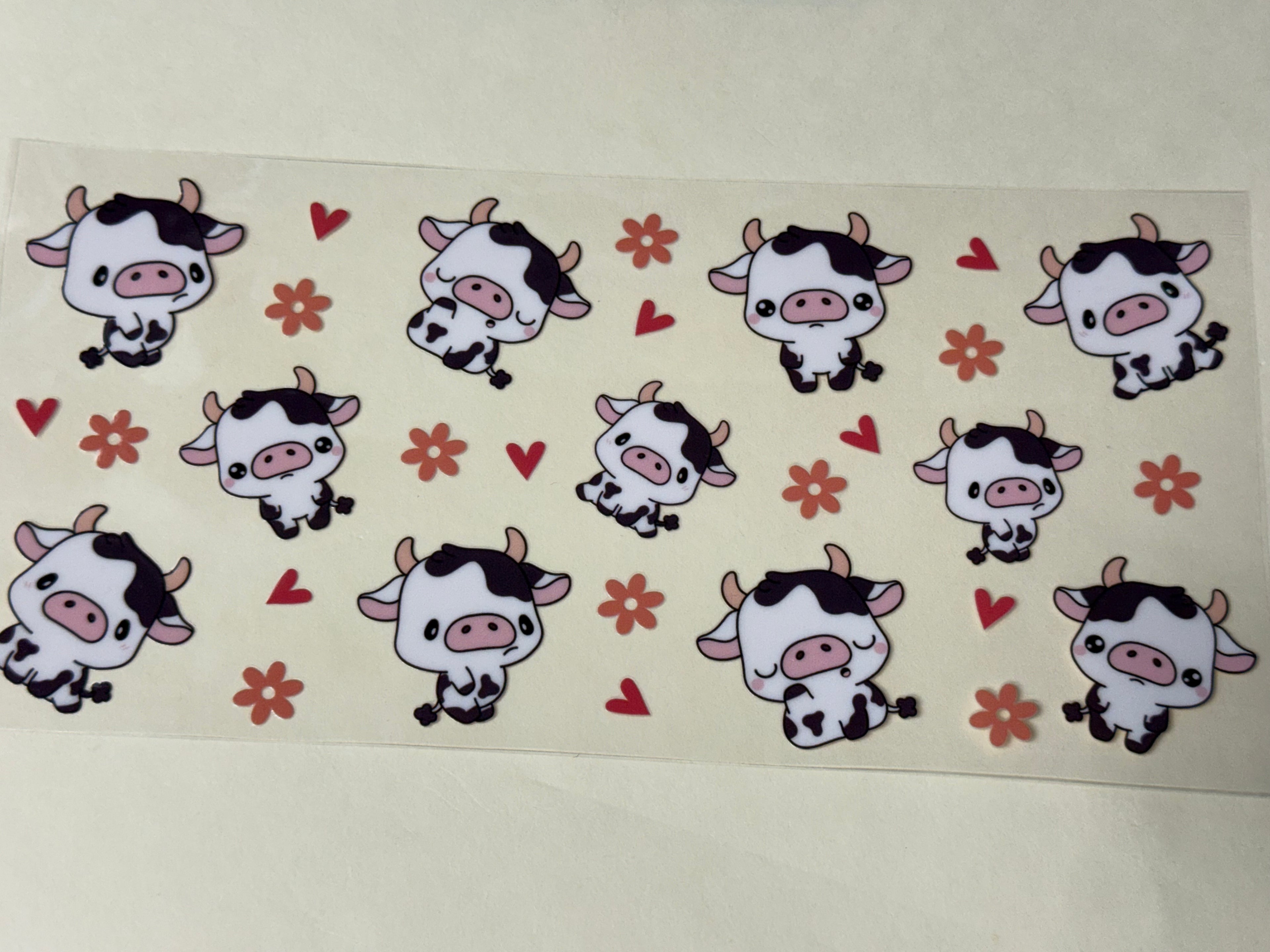 moo cows