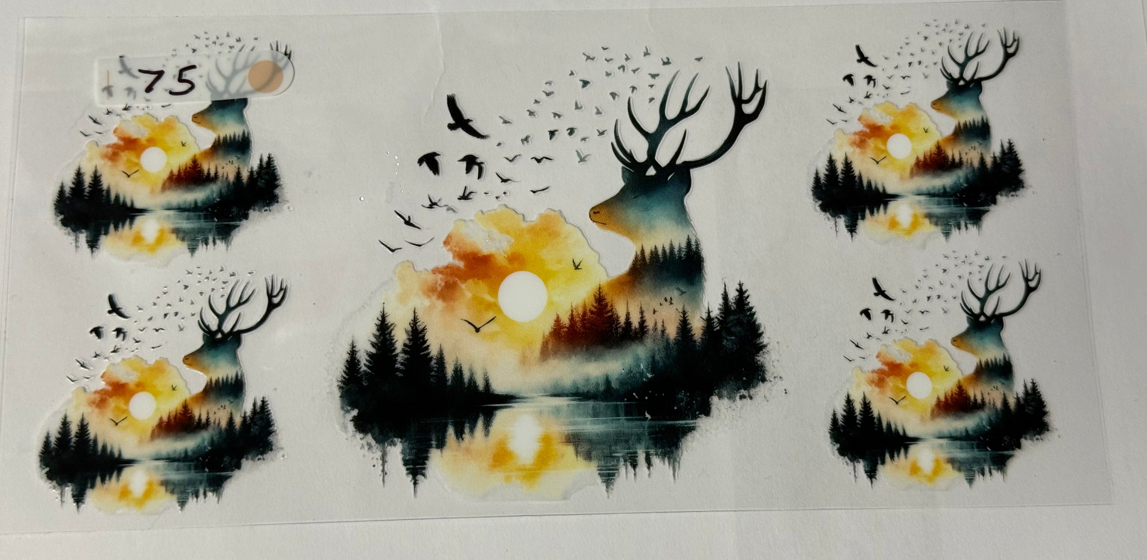 Deer