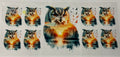 Owls
