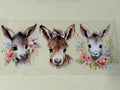 Donkey