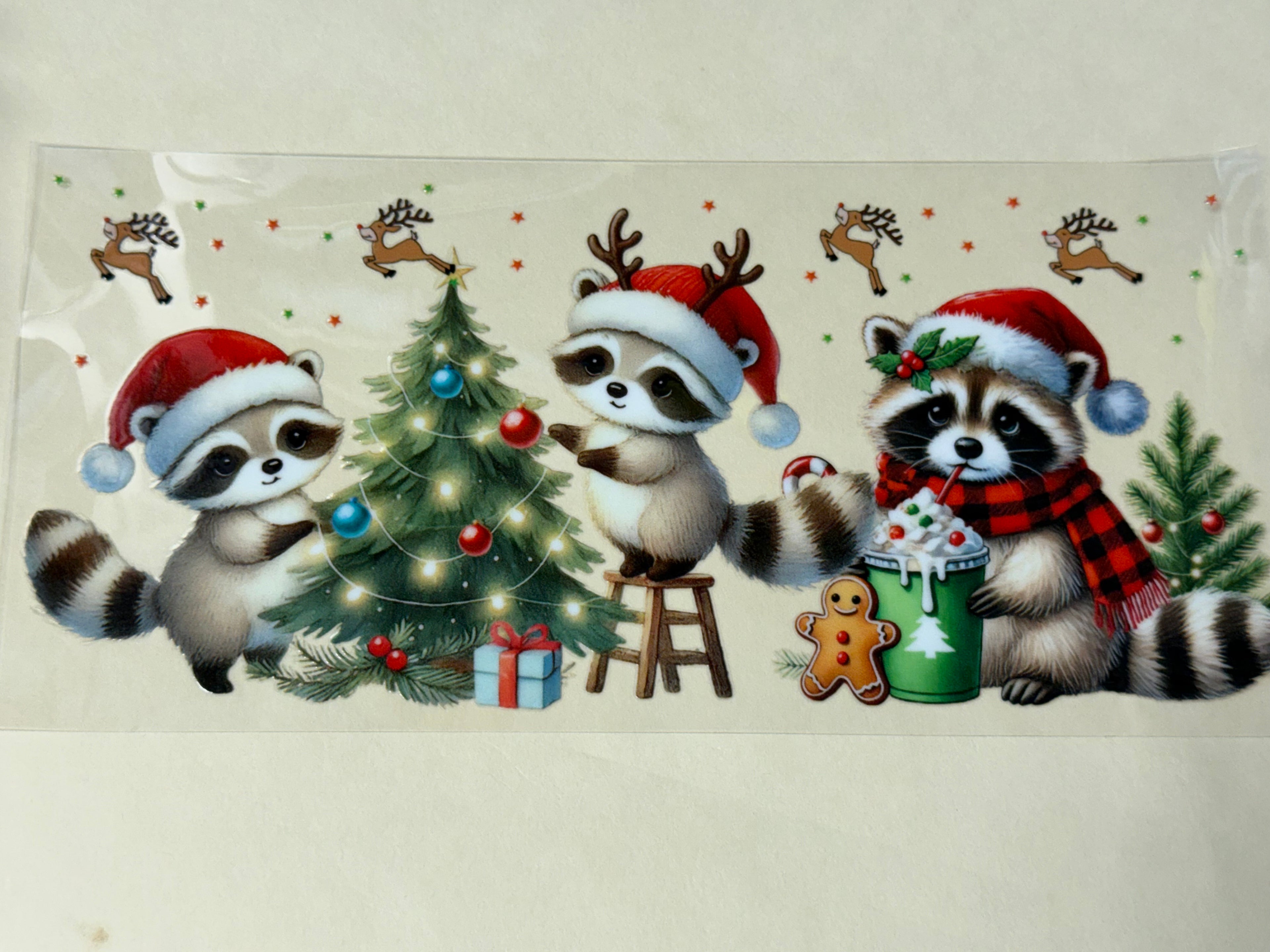 Raccoon Christmas