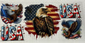 Fourth July Eagle