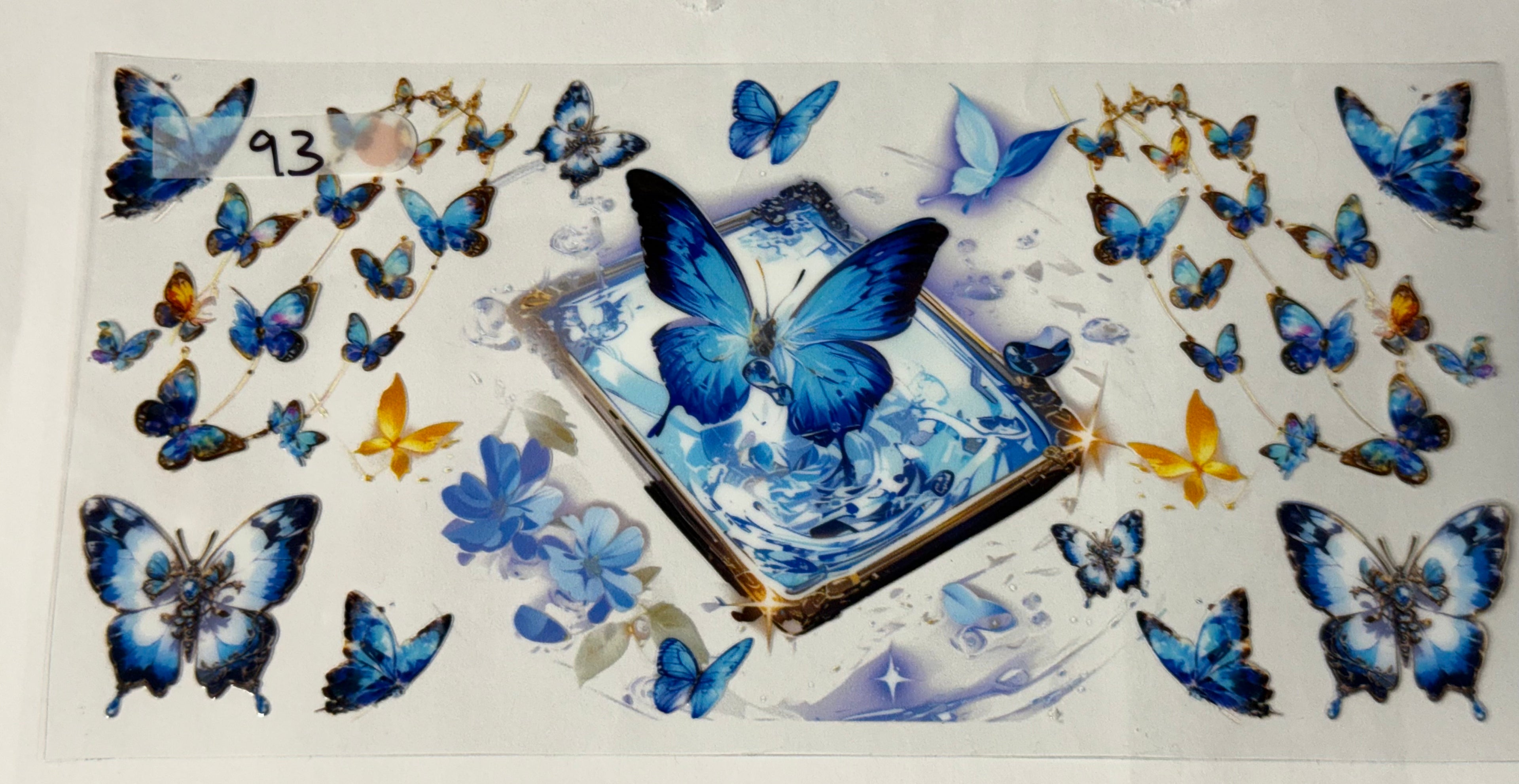 Butterfly