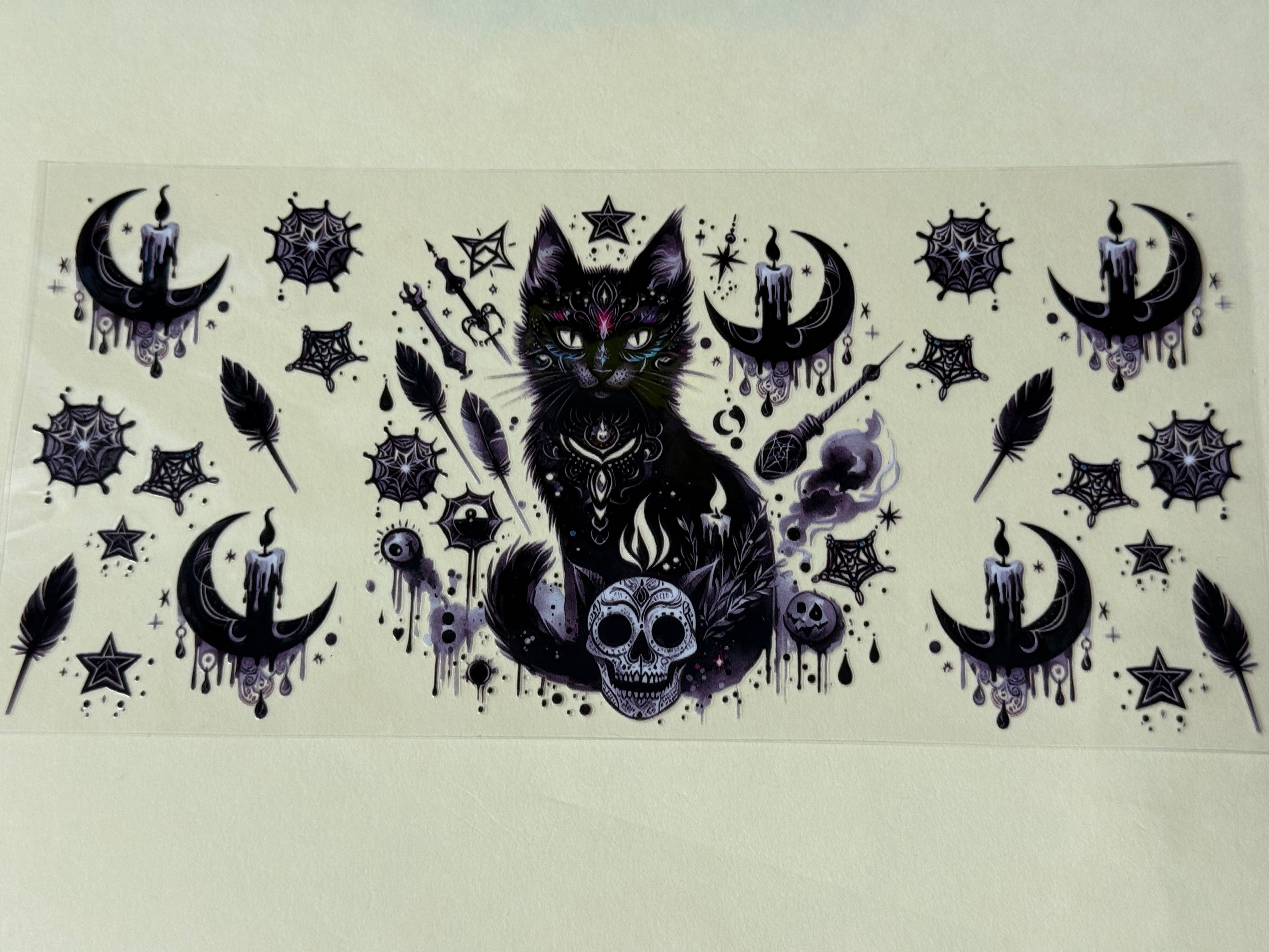 Black cat and skull