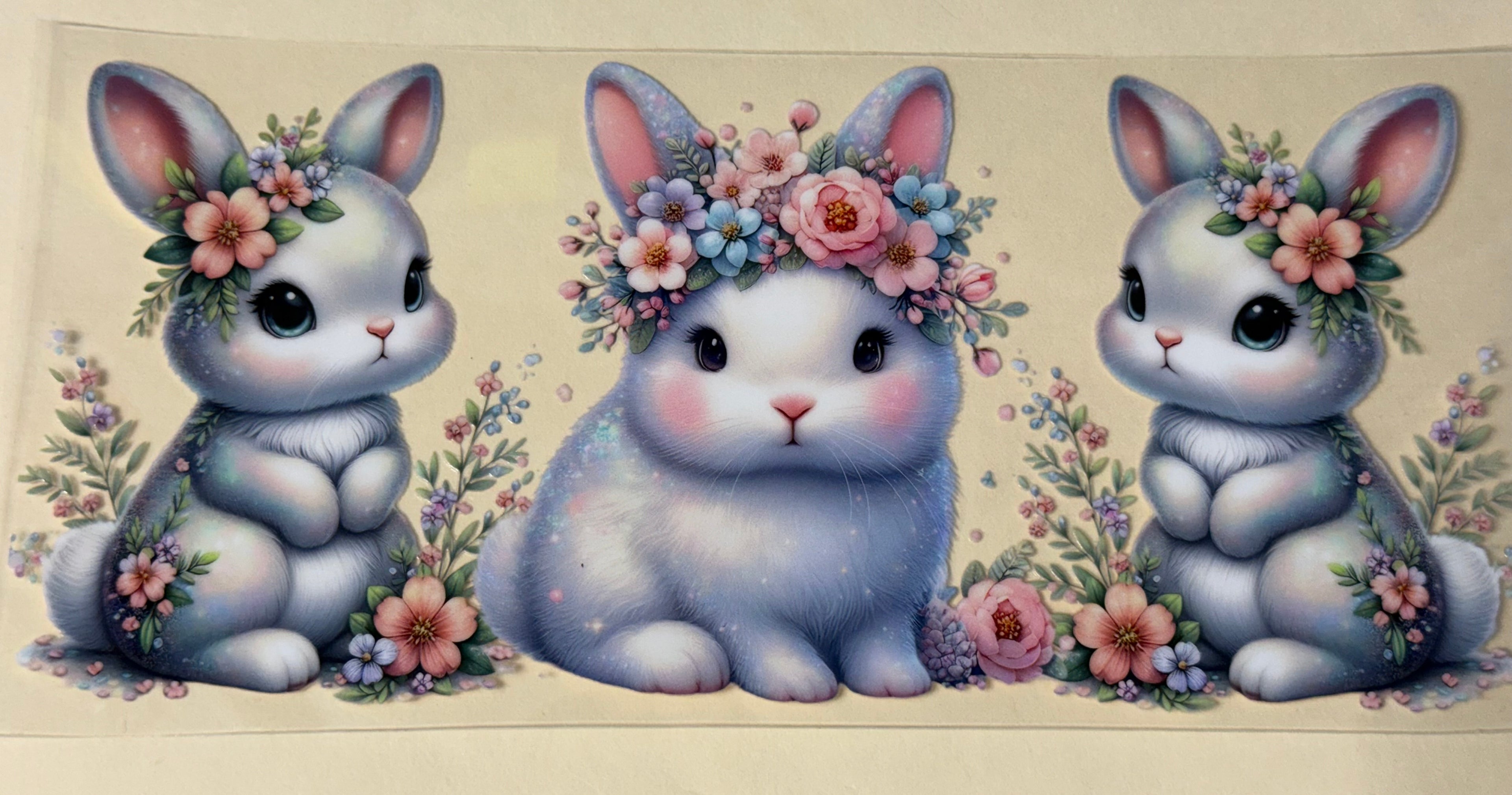 bunny