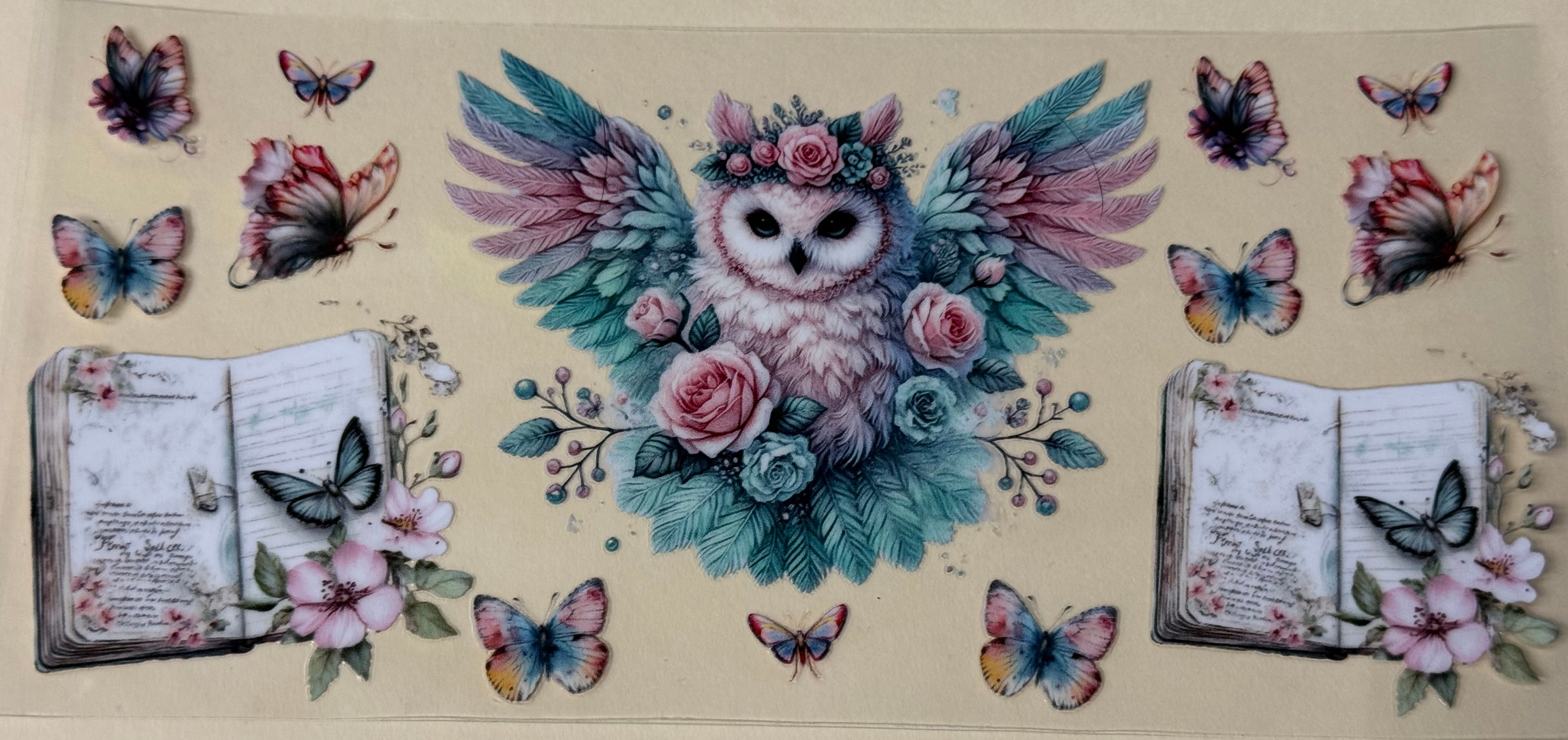 Owl