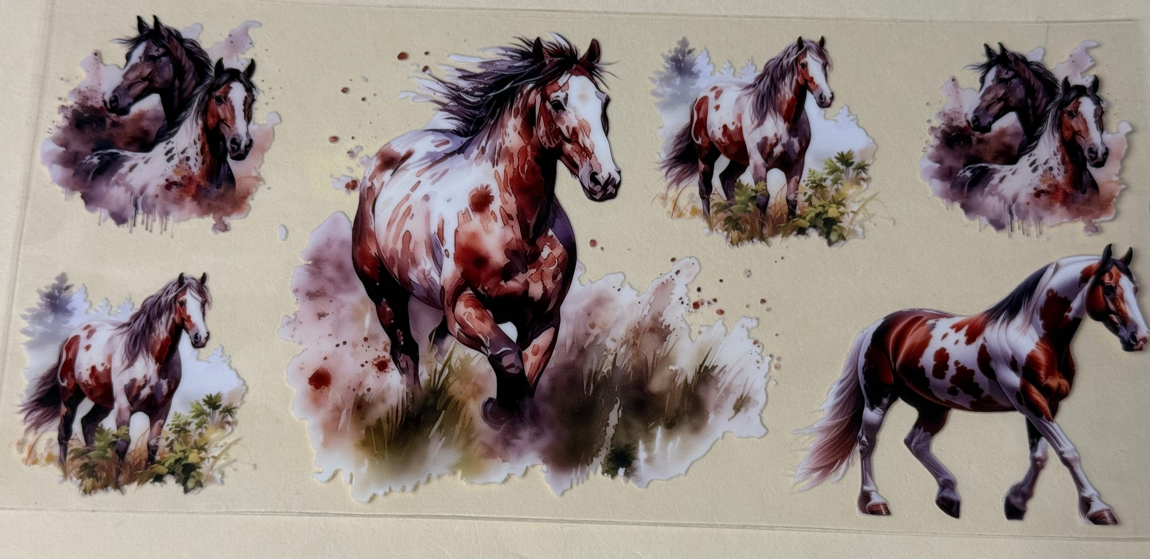 Horse's