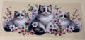 Kitty