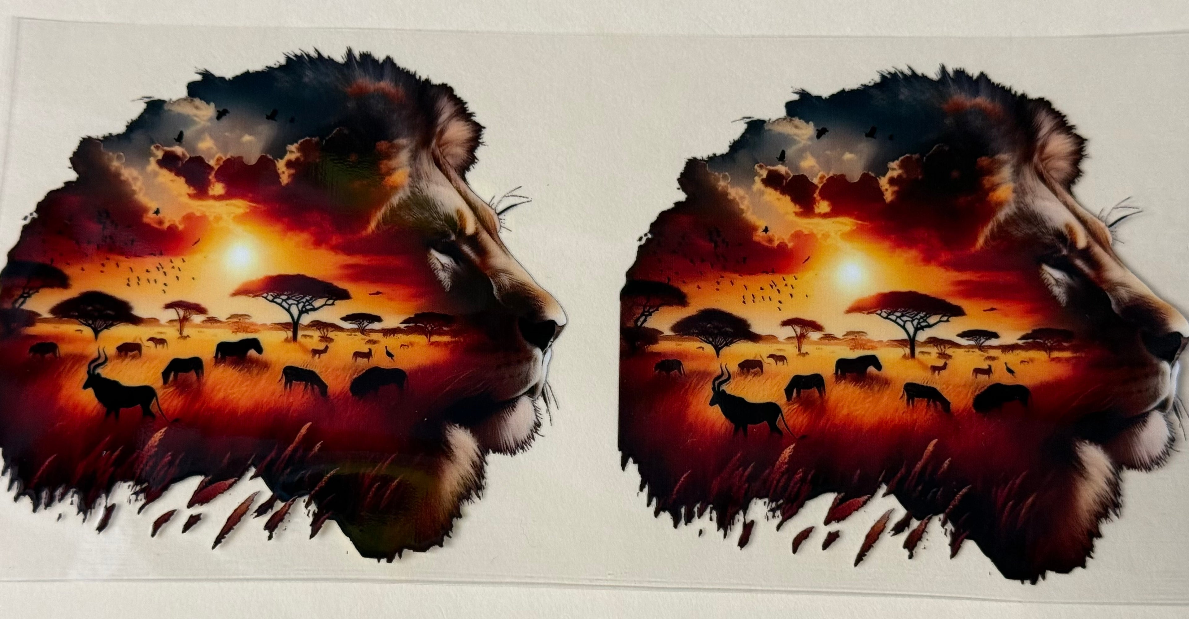 Lion